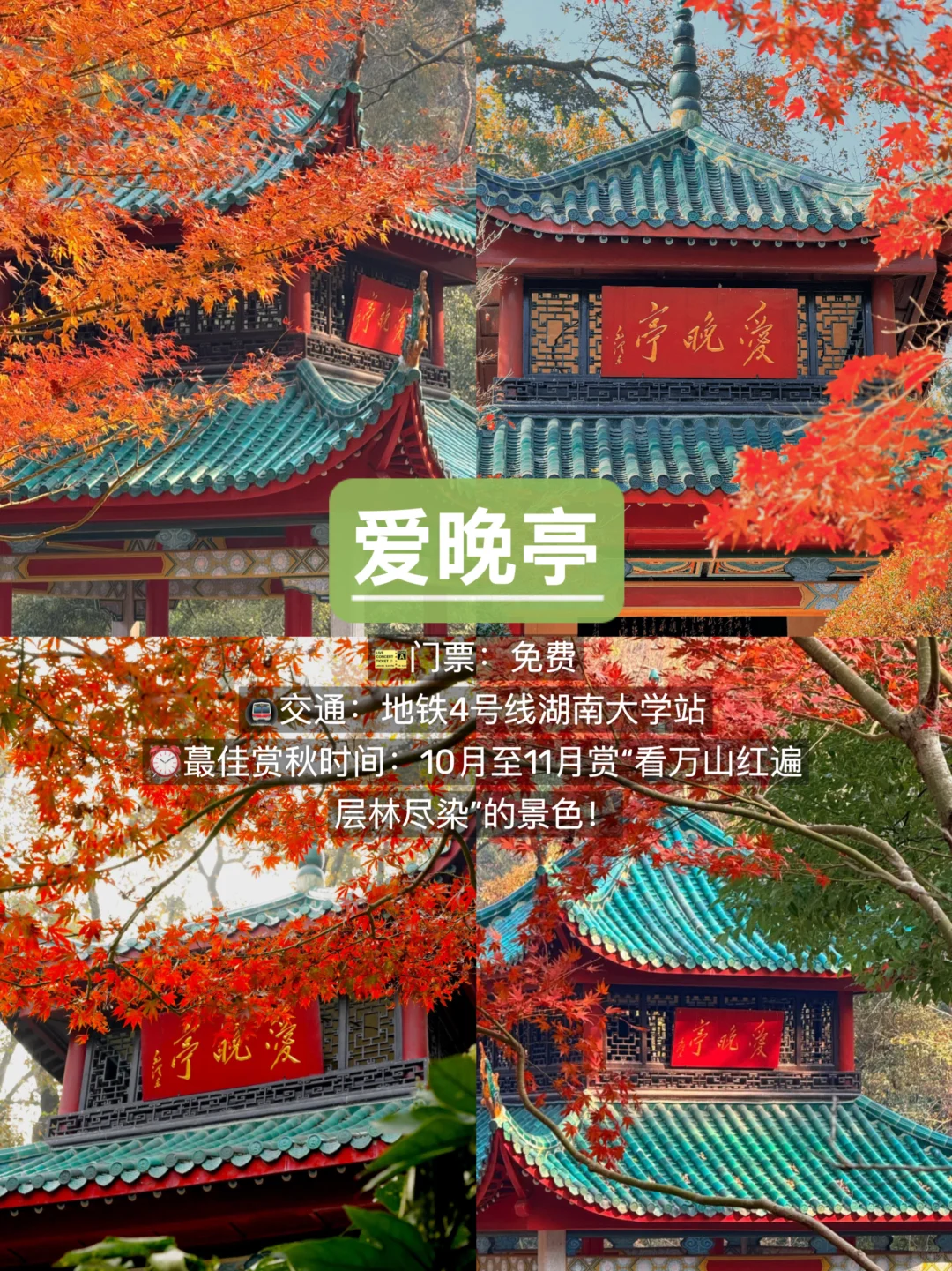 长沙赏秋🍂9个必去景点，错过再等一年！