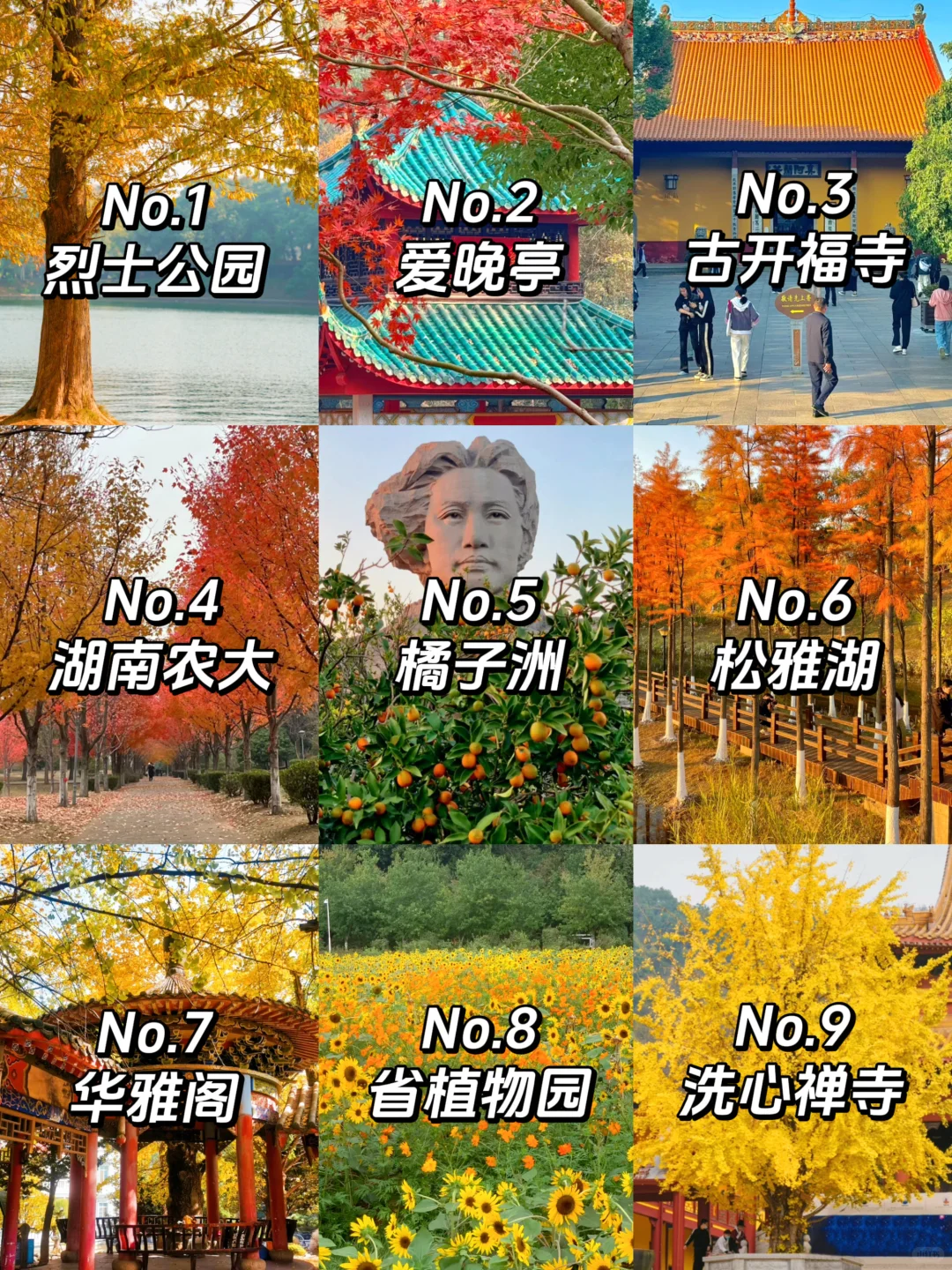 长沙赏秋🍂9个必去景点，错过再等一年！