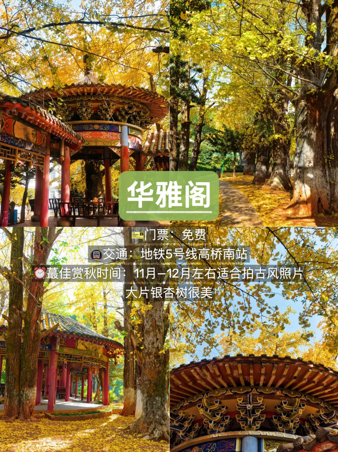 长沙赏秋🍂9个必去景点，错过再等一年！