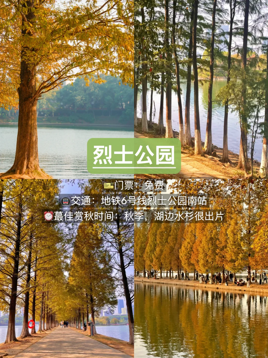 长沙赏秋🍂9个必去景点，错过再等一年！