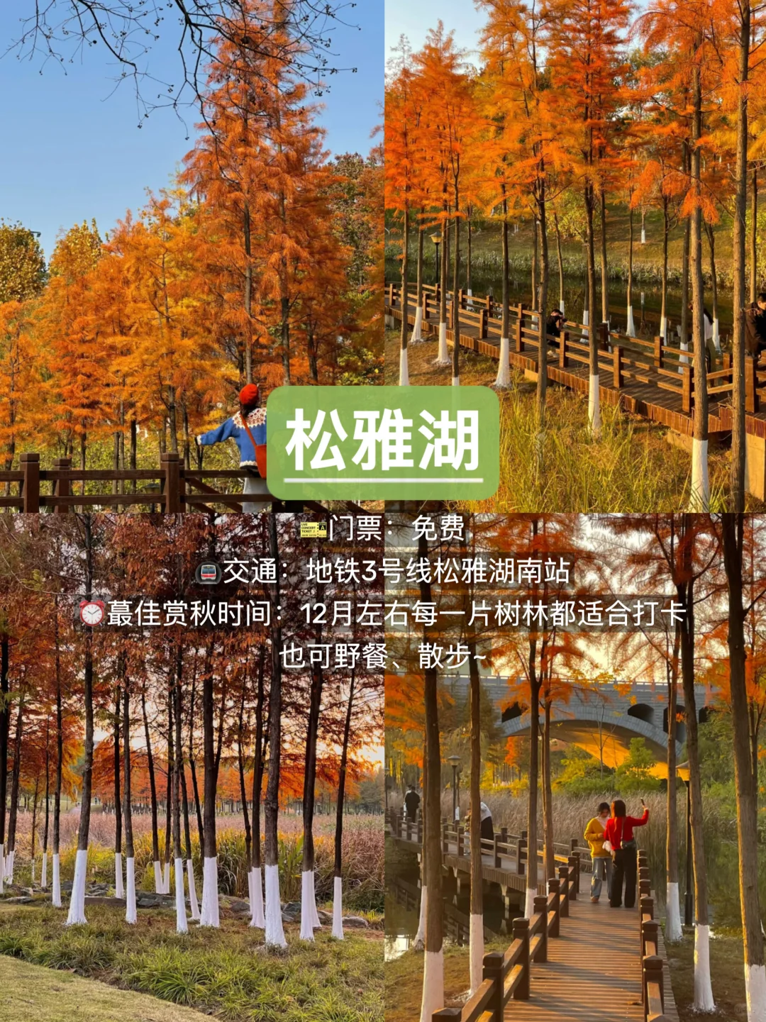 长沙赏秋🍂9个必去景点，错过再等一年！