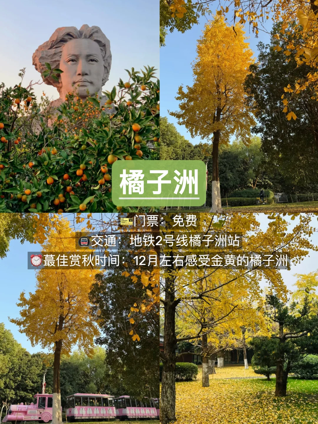 长沙赏秋🍂9个必去景点，错过再等一年！