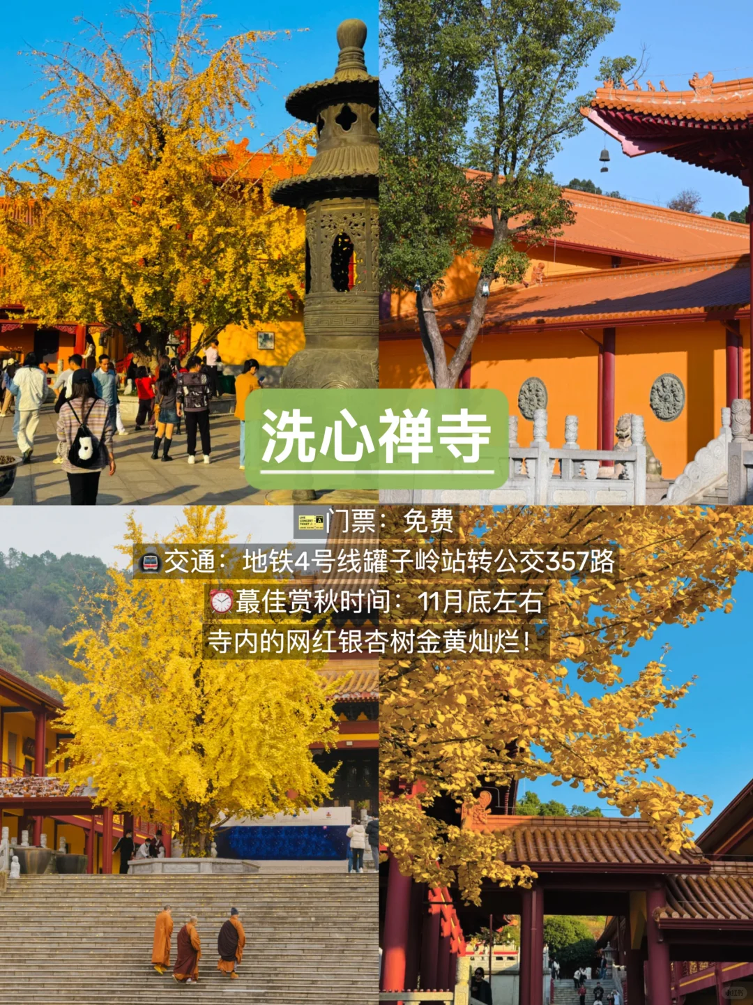 长沙赏秋🍂9个必去景点，错过再等一年！