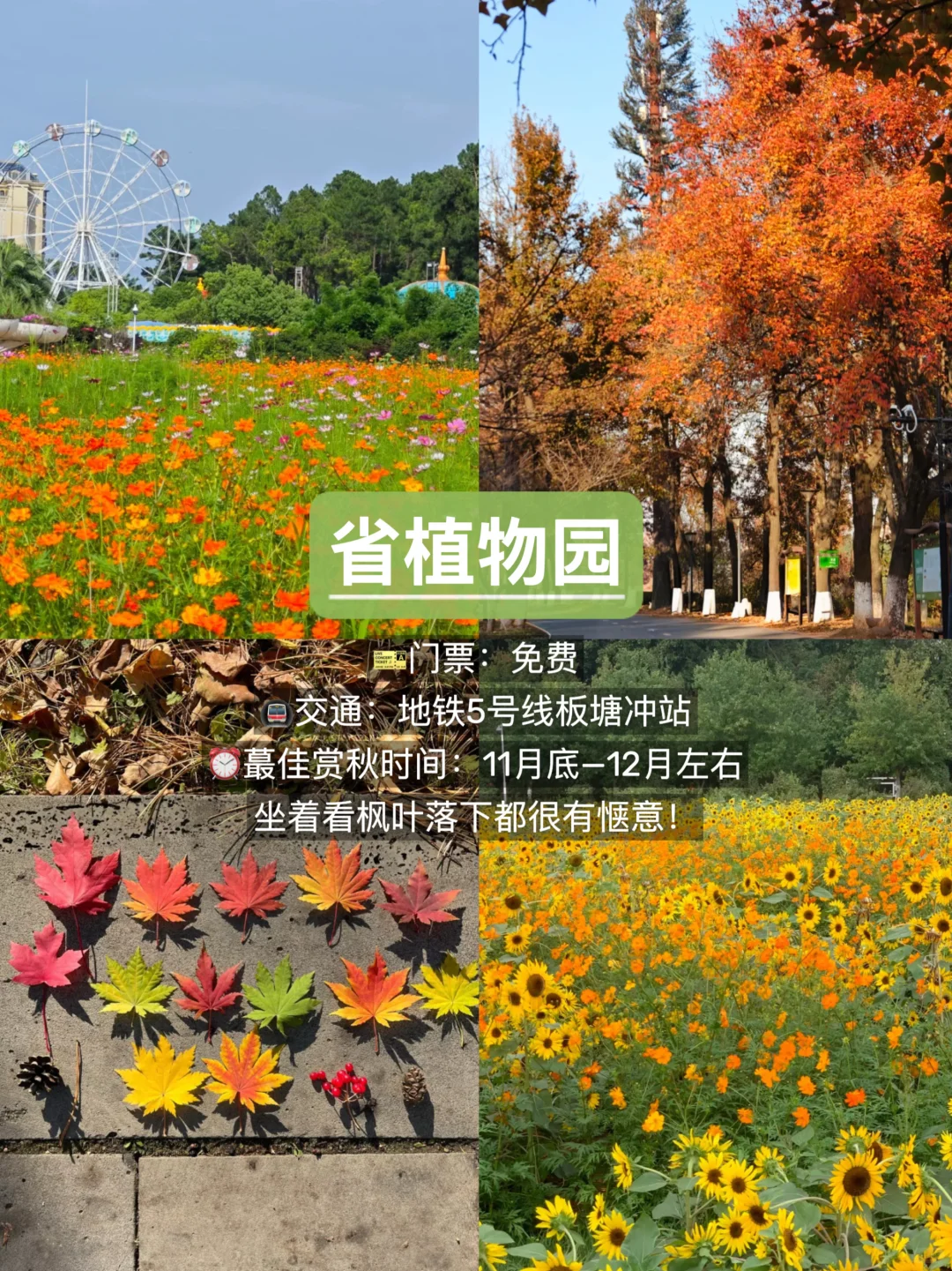 长沙赏秋🍂9个必去景点，错过再等一年！