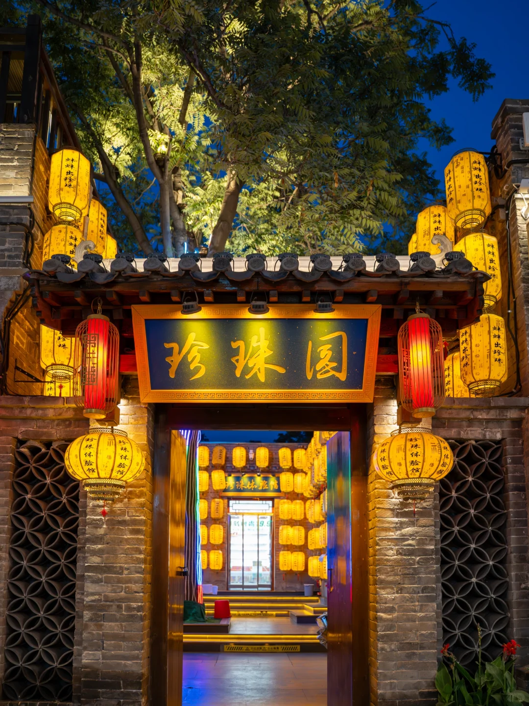 邯郸|三千年不改名古城,低调的宝藏旅游地