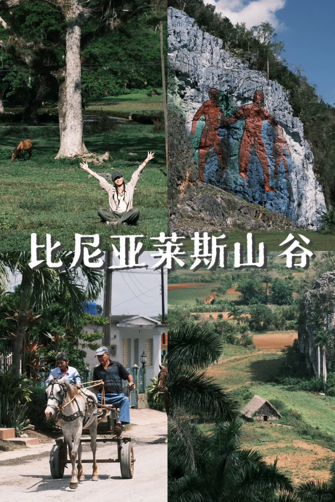 🇨🇺古巴攻略2·Viñales 山野小镇吃喝玩乐