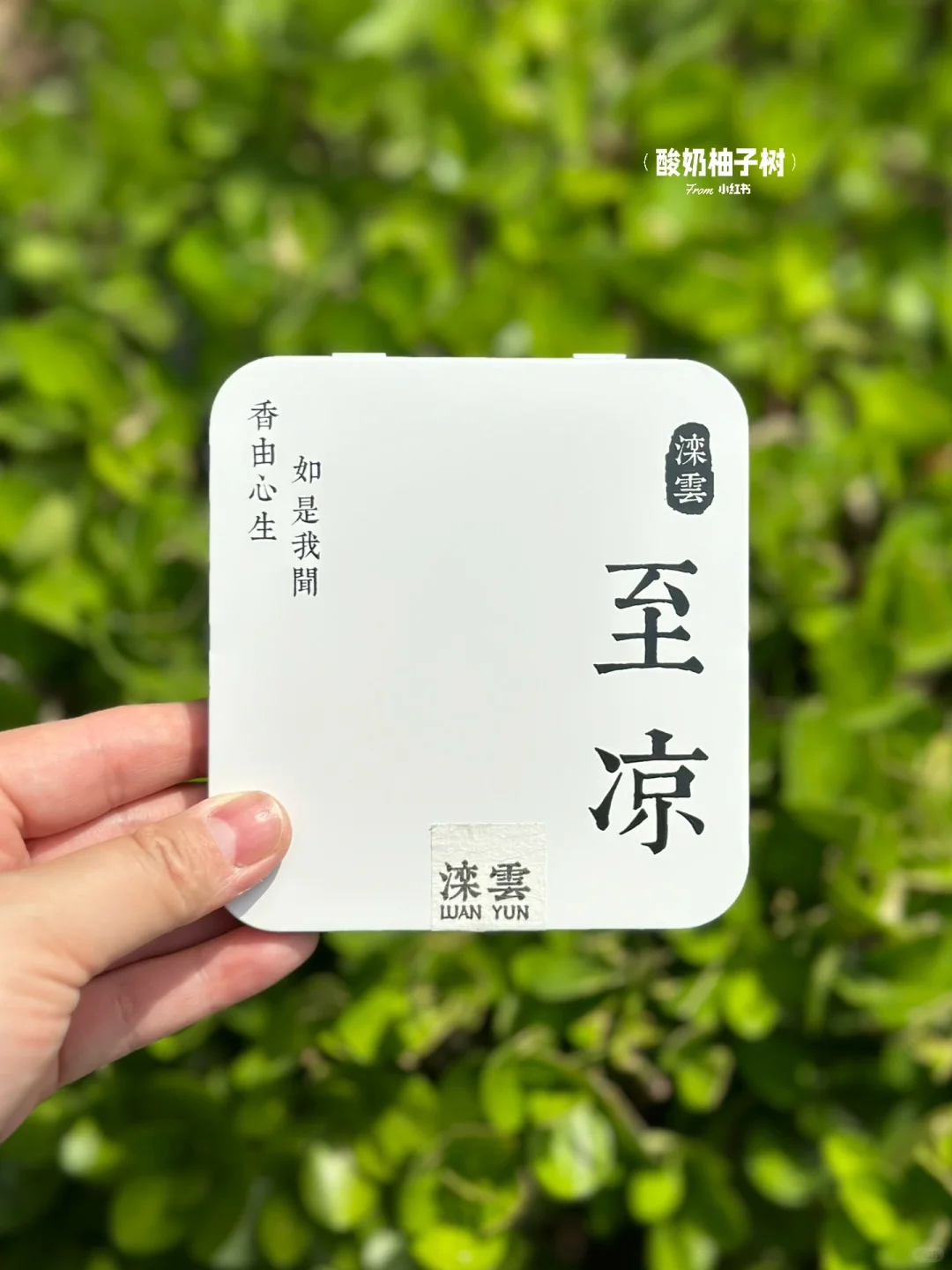真的不在江南🍃离安阳ZZZ近的园林!!