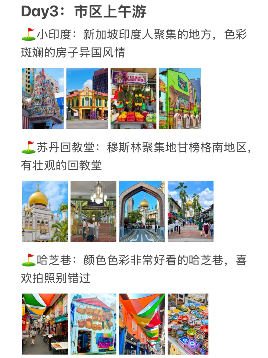 新加坡已回!J人对自己的旅游攻略很满意...