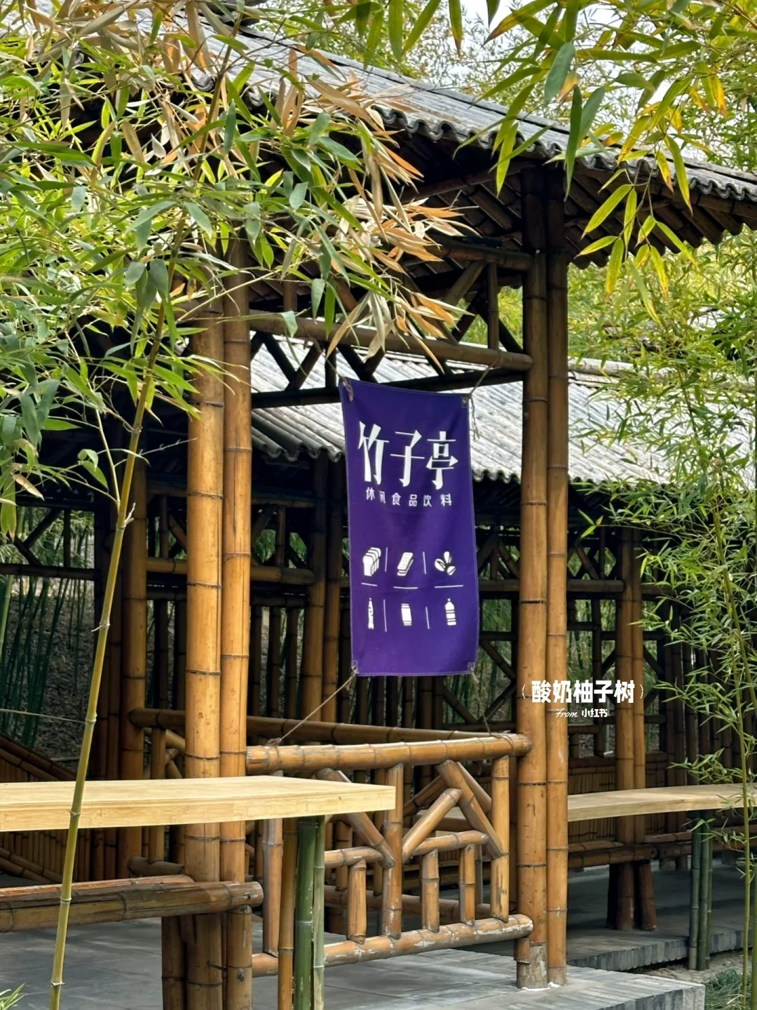 真的不在江南🍃离安阳ZZZ近的园林!!