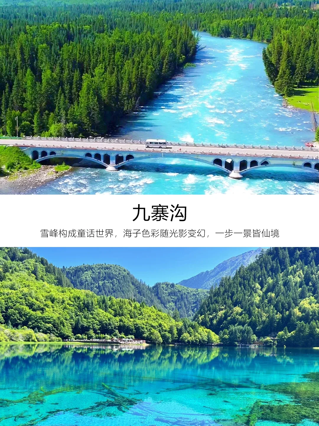九寨沟3天跟团游|懒人福音,说走就走