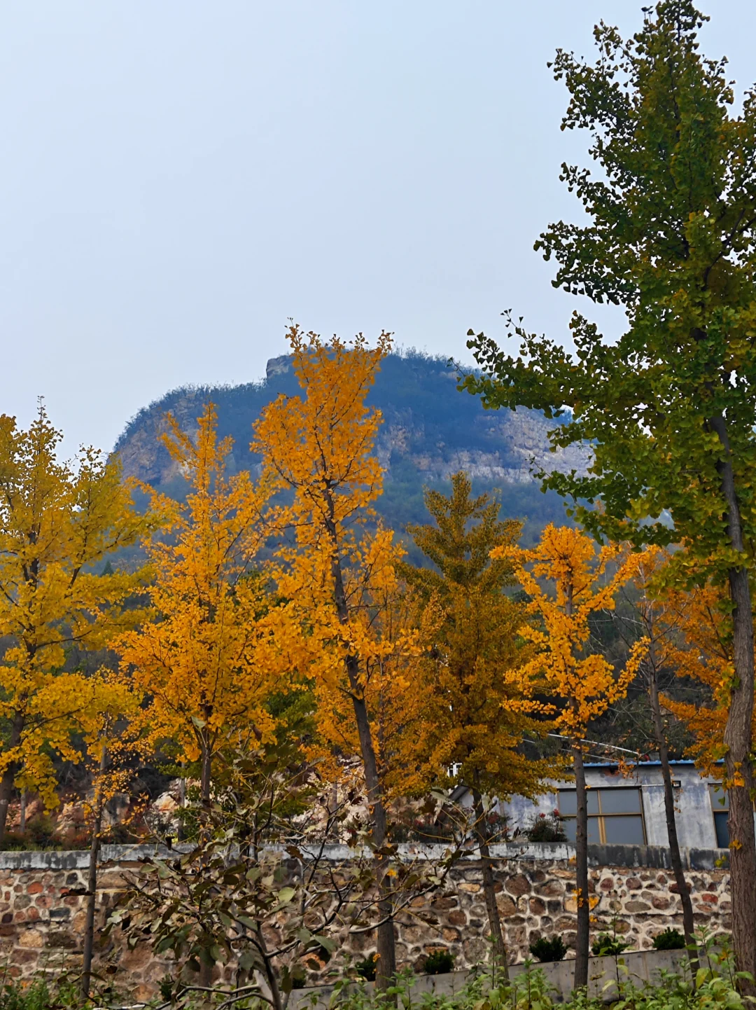 10月24日,石家庄元氏湘山普济寺