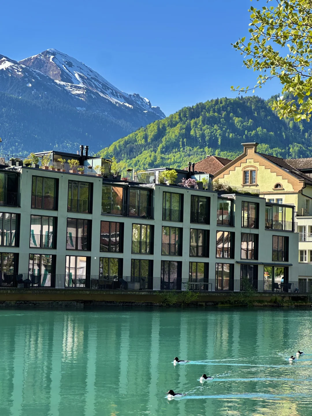 🇨🇭 Interlaken|因特拉肯⋆。‧˚ 🩵ིྀ ˚‧。⋆