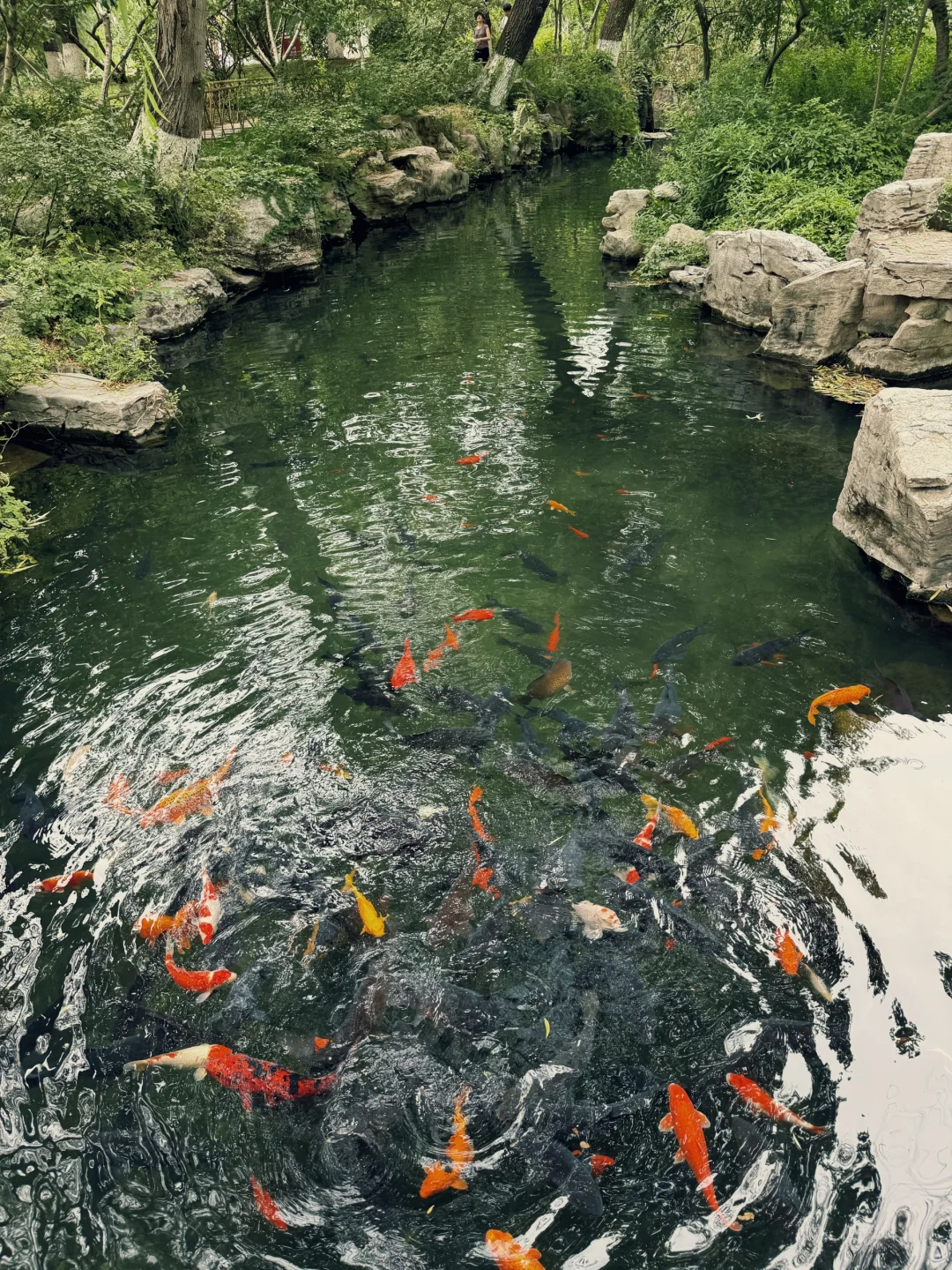 济南的夏天