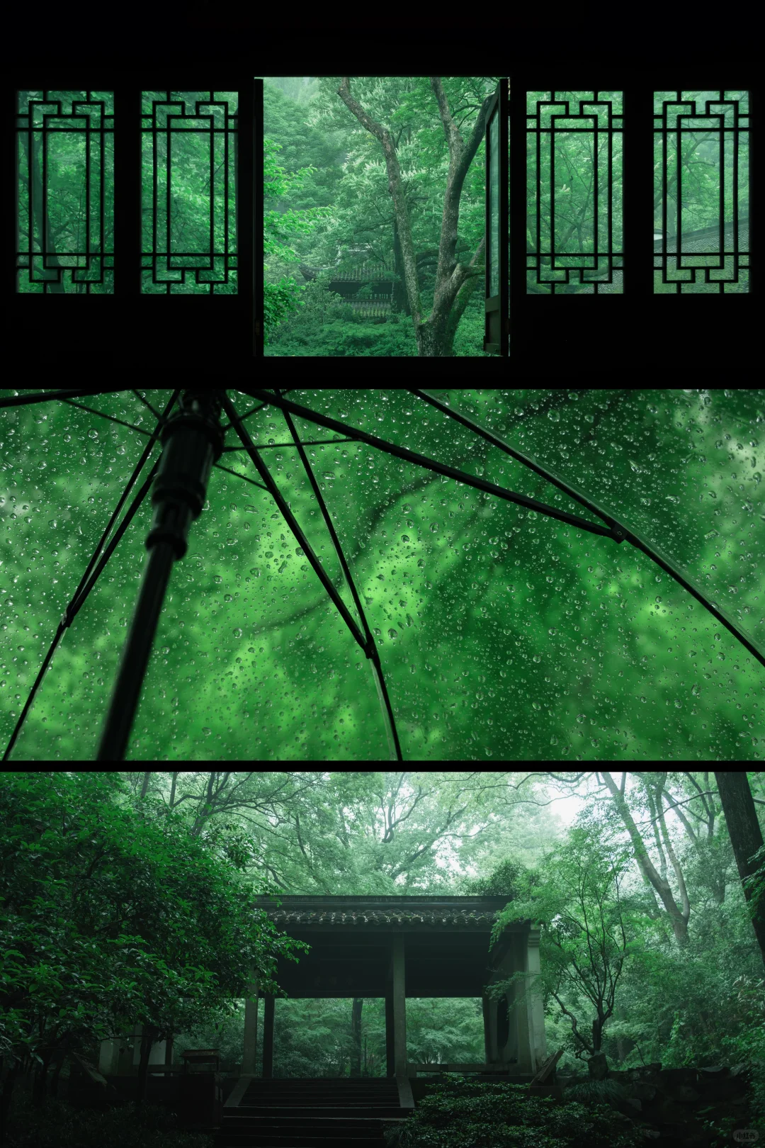 杭州🍃建议感觉能量低的人都走一下这条路线