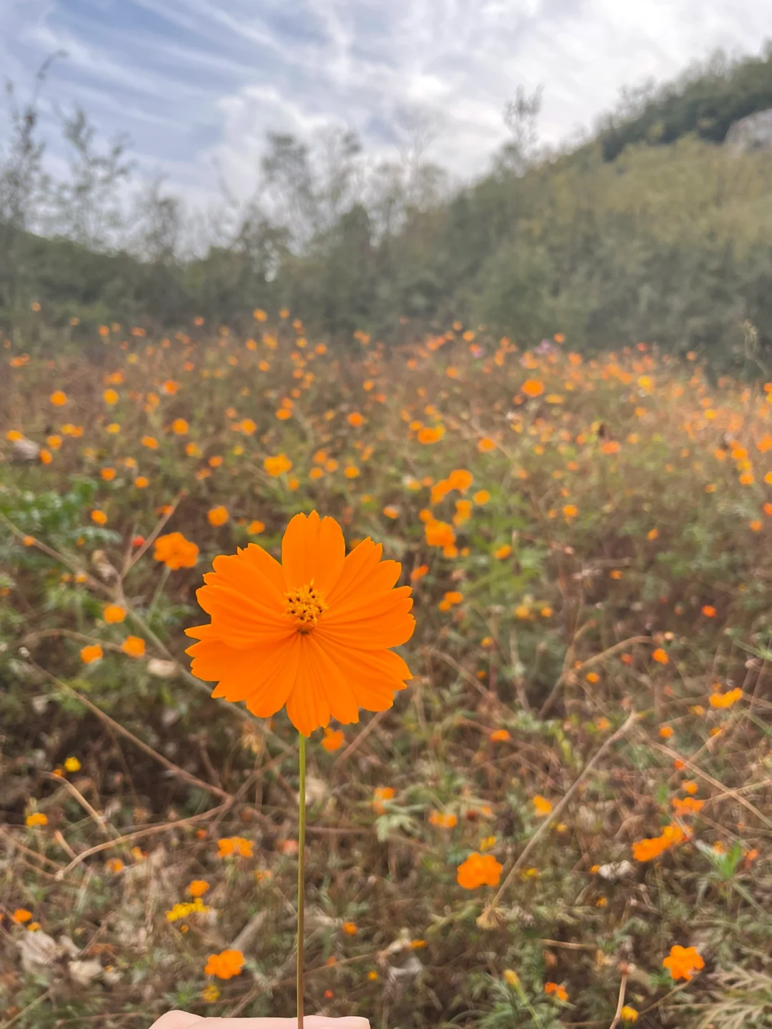 邯郸周末惠民旅游—药王谷