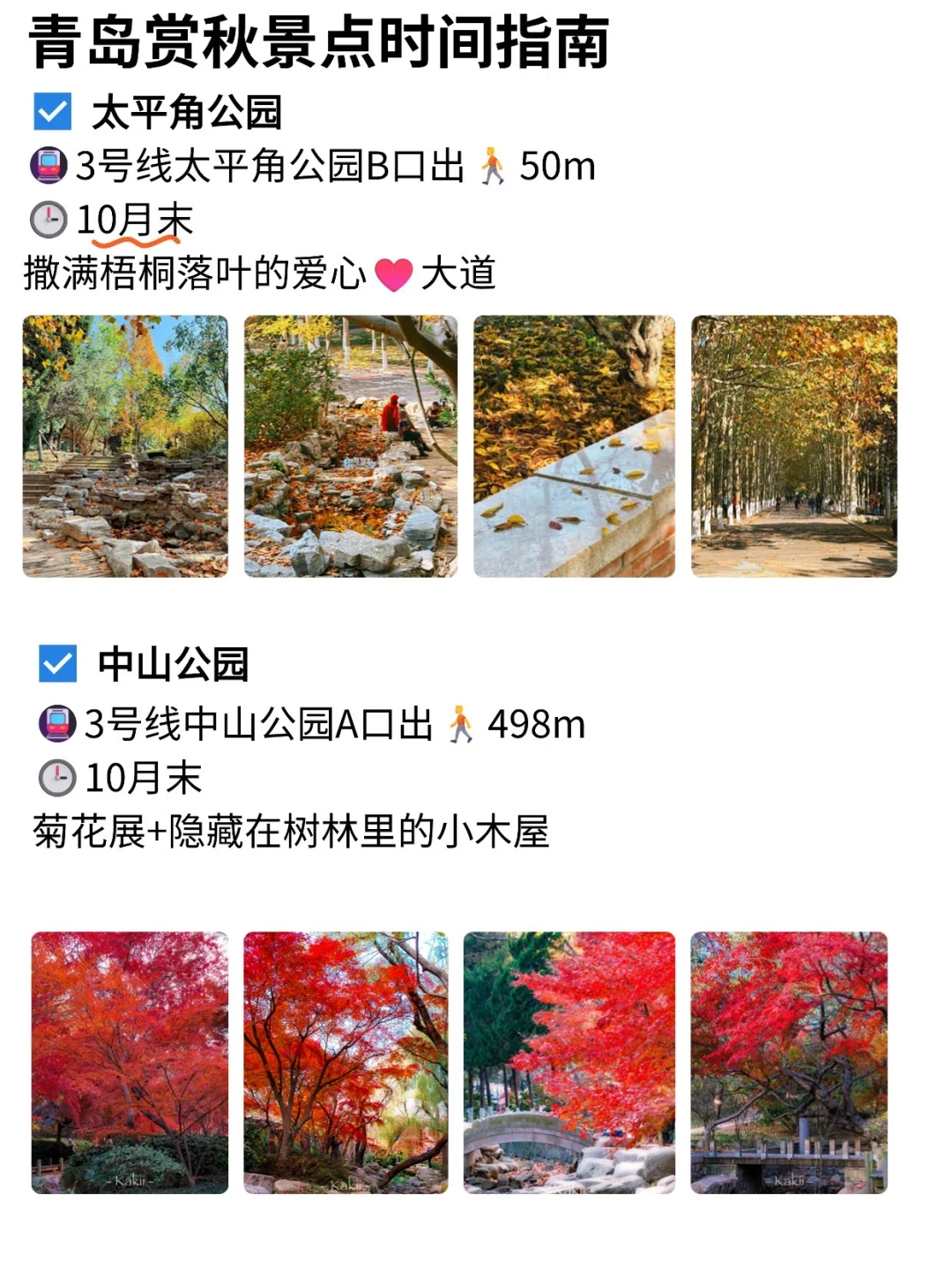 青岛赏秋攻略~一定要去的景点