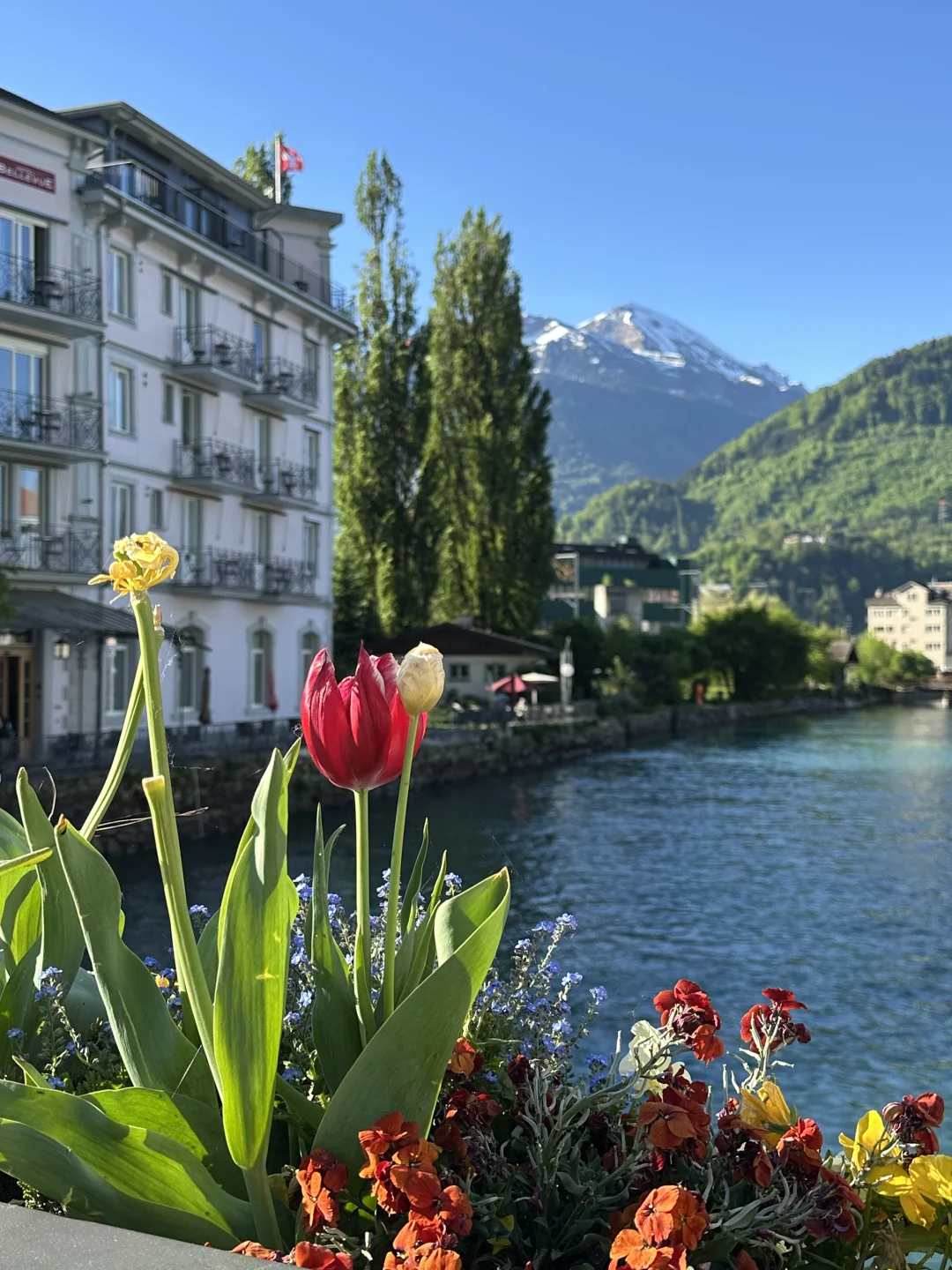 🇨🇭 Interlaken|因特拉肯⋆。‧˚ 🩵ིྀ ˚‧。⋆