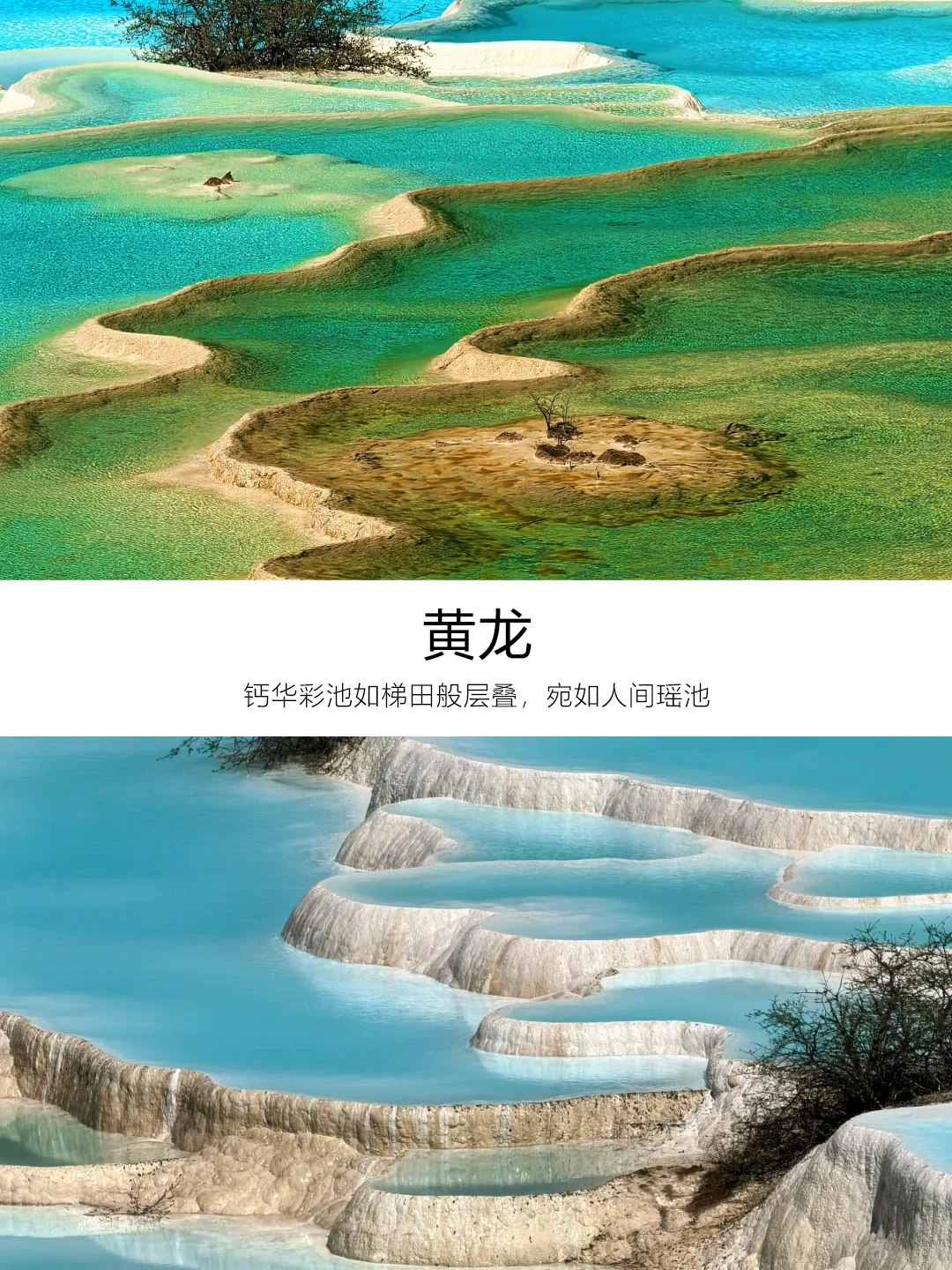 九寨沟3天跟团游|懒人福音,说走就走