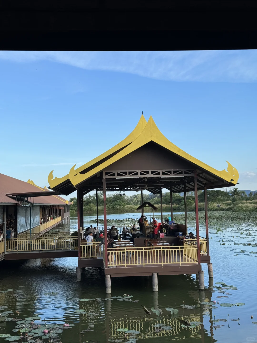 哎为啥我觉得泰国一点也不好玩。。。。