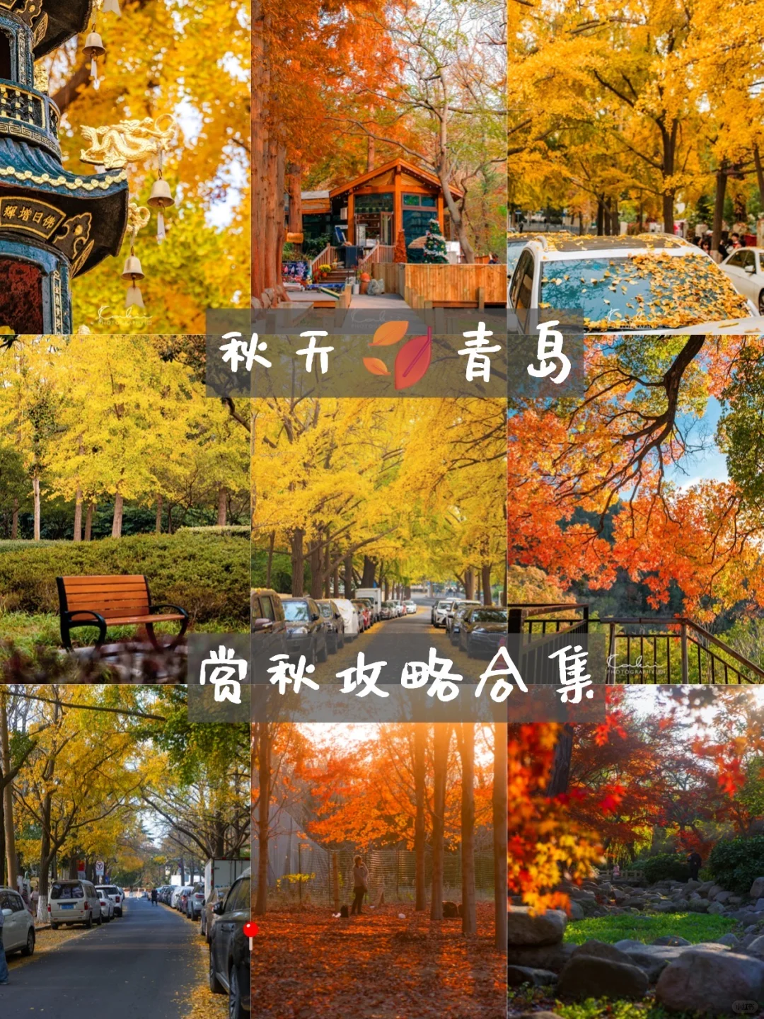 青岛赏秋攻略~一定要去的景点