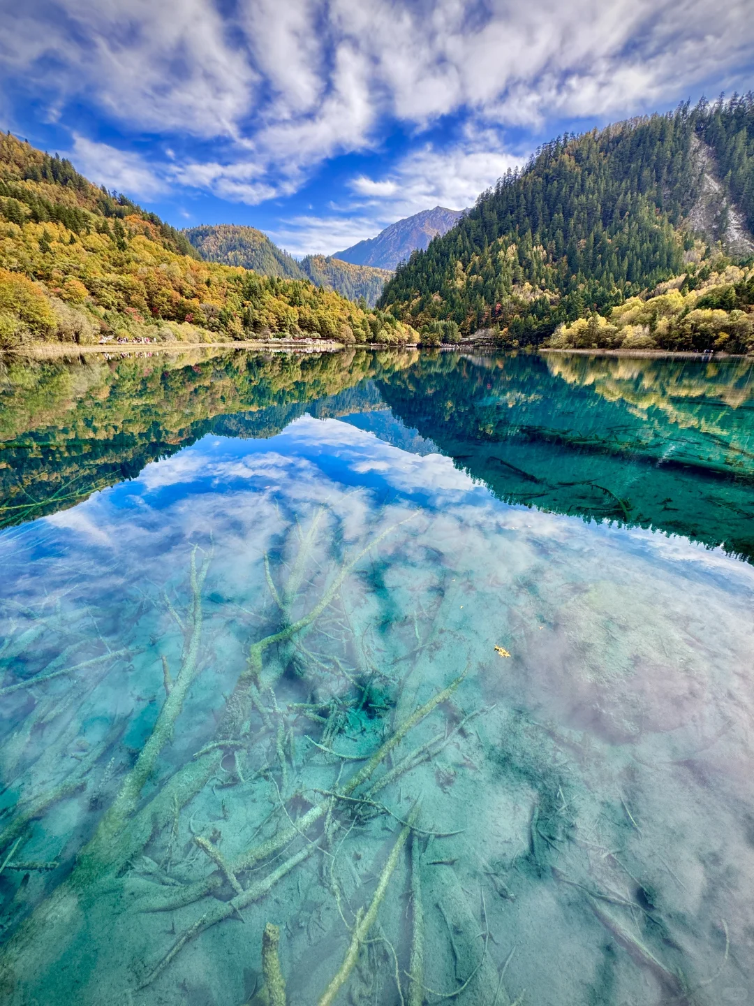 live图❗️秋天的九寨沟,每一帧都是童话世界