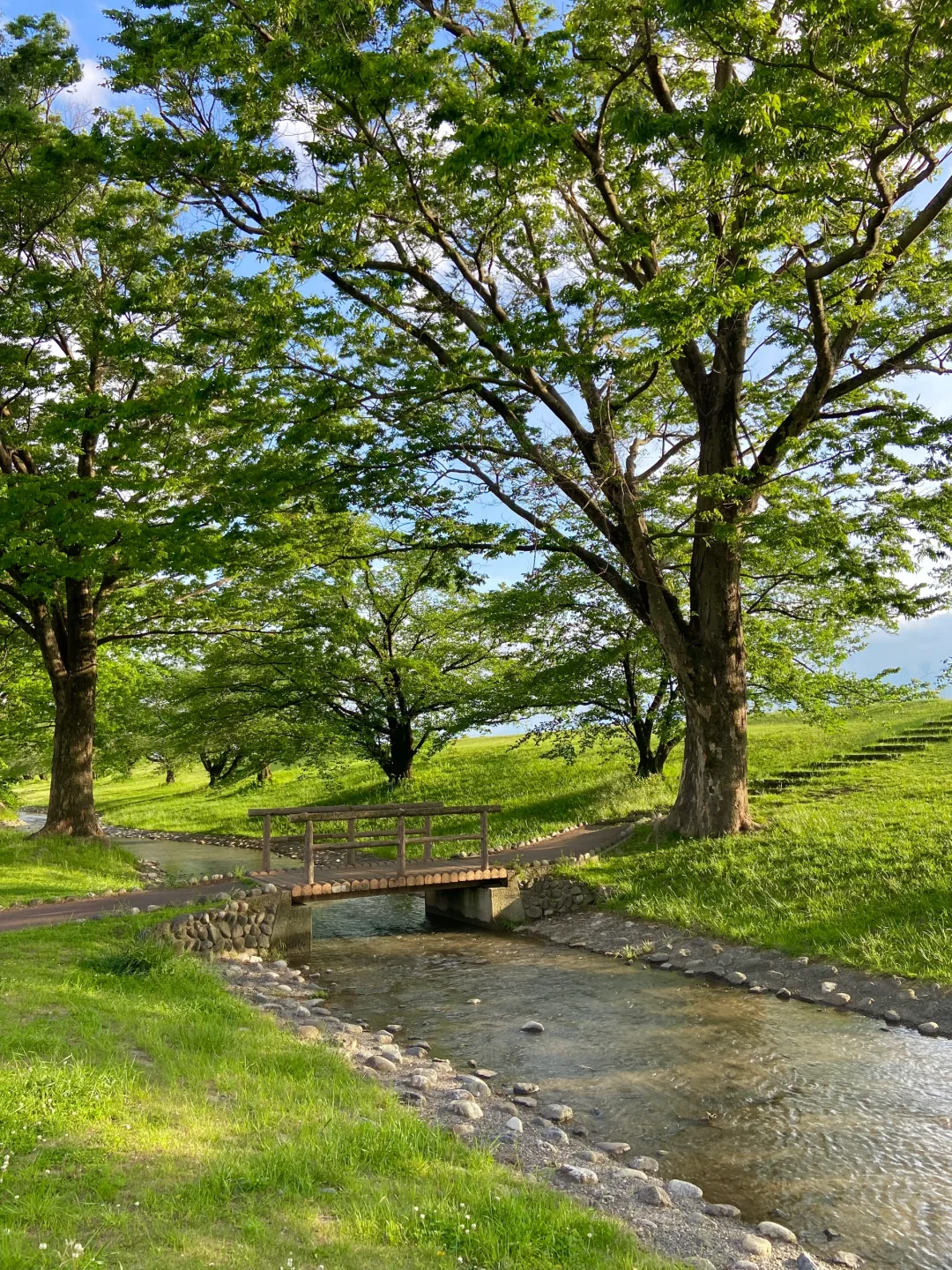 日本|去公园散散步