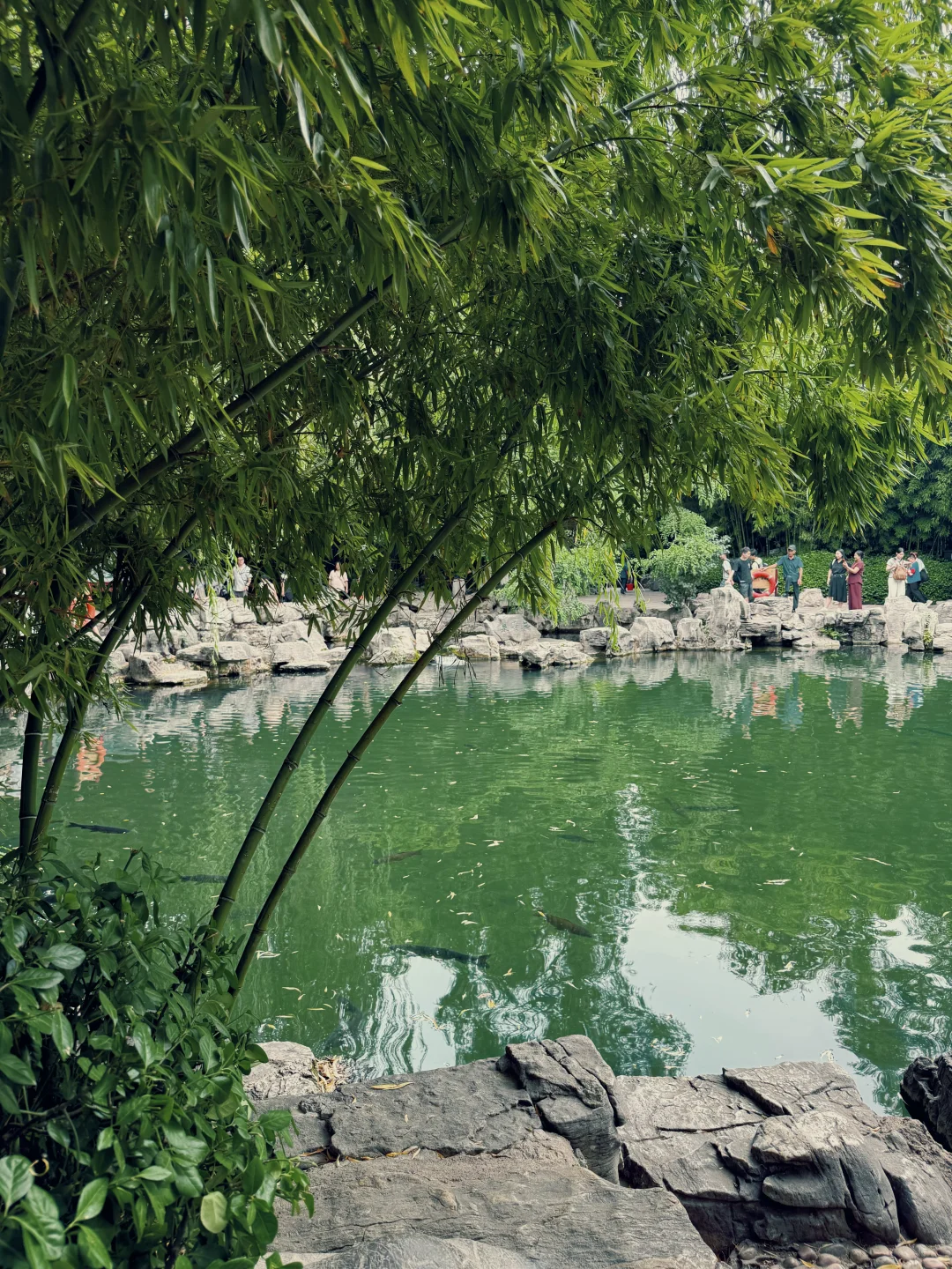 济南的夏天