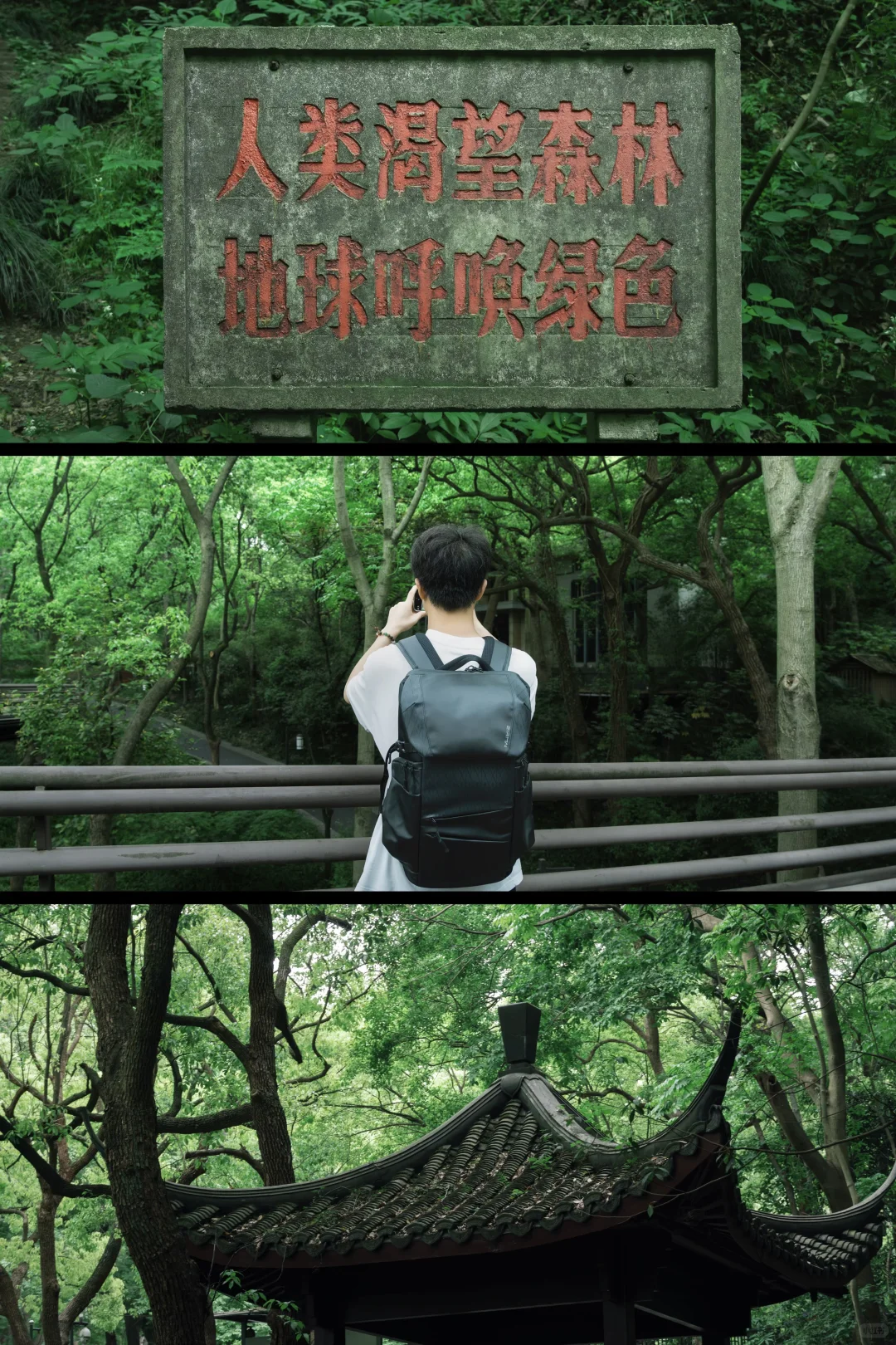 杭州🍃建议感觉能量低的人都走一下这条路线