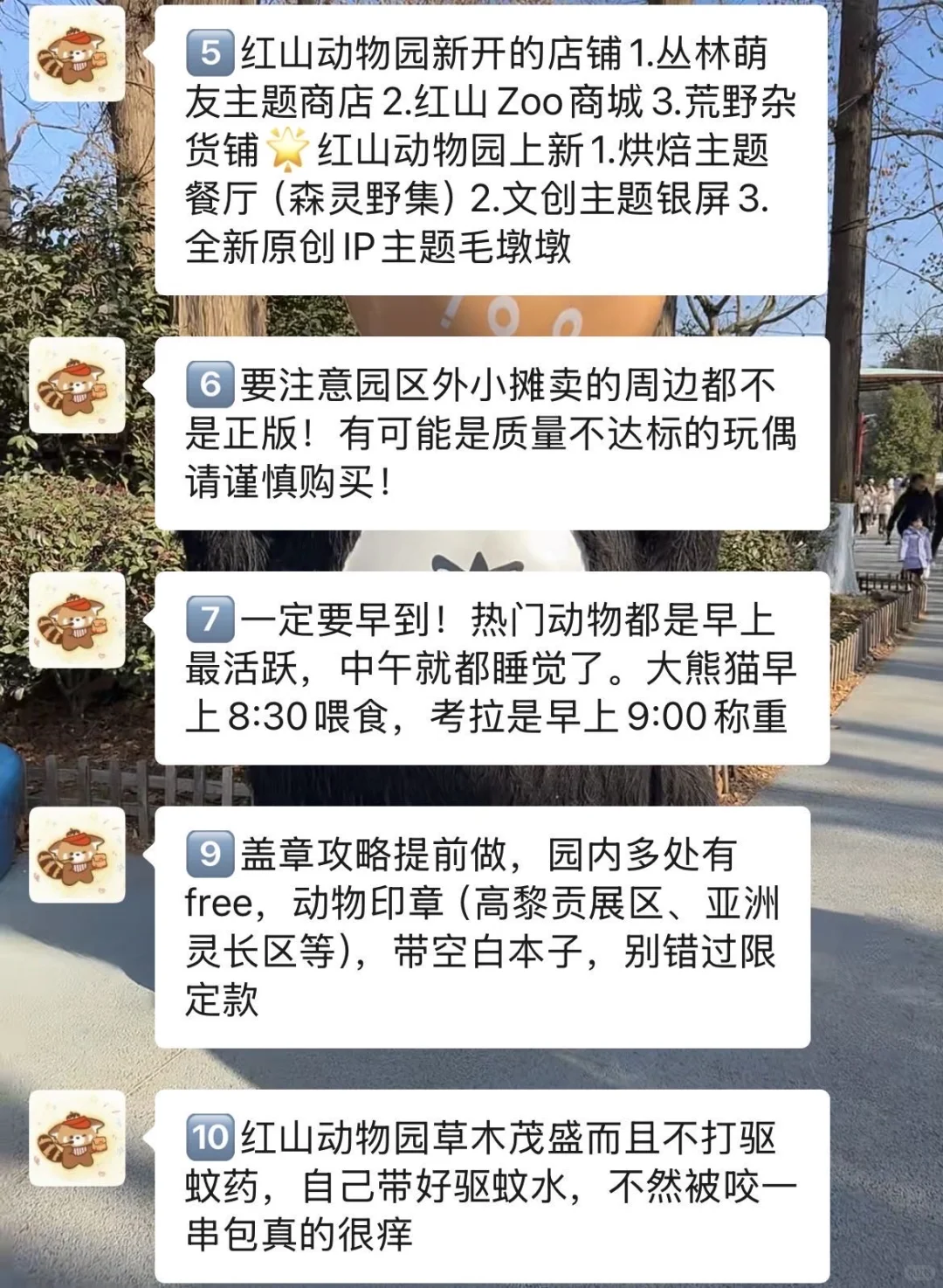 红山动物园大更新!再不看就晚咯