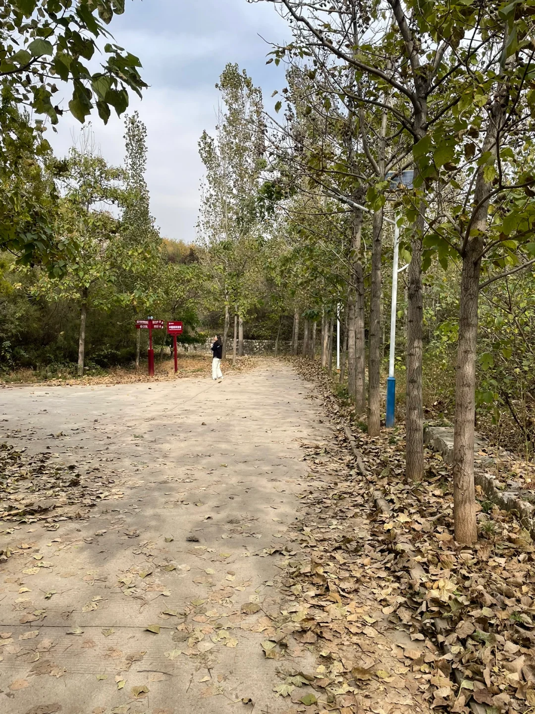 邯郸周末惠民旅游—药王谷