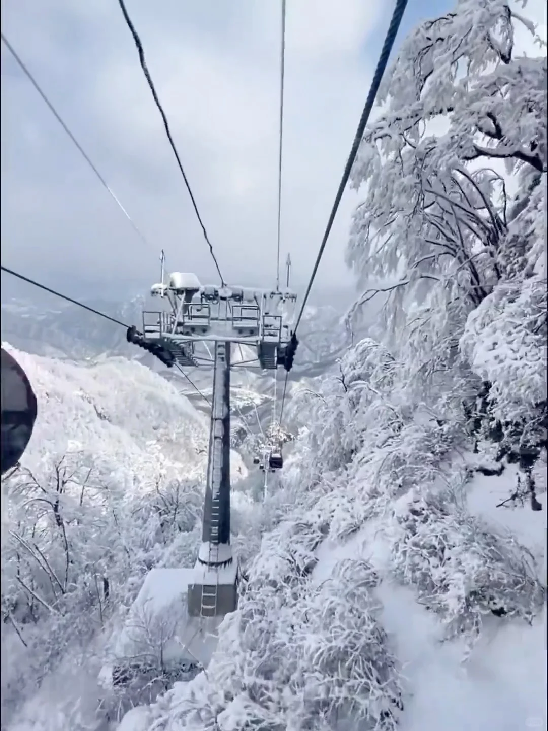 10~1月去老君山看❄️,超详细攻略,拒绝踩坑