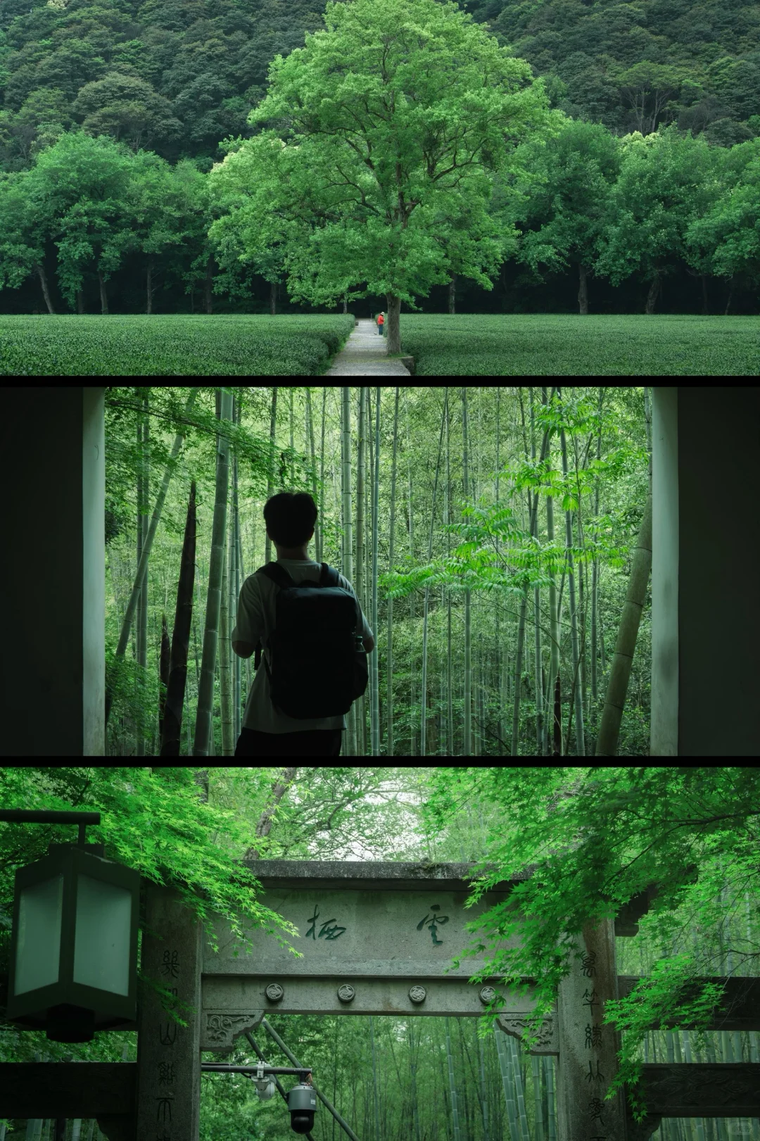 杭州🍃建议感觉能量低的人都走一下这条路线