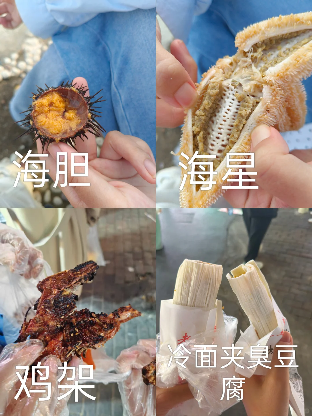 适合学生党的大连平价旅游攻略