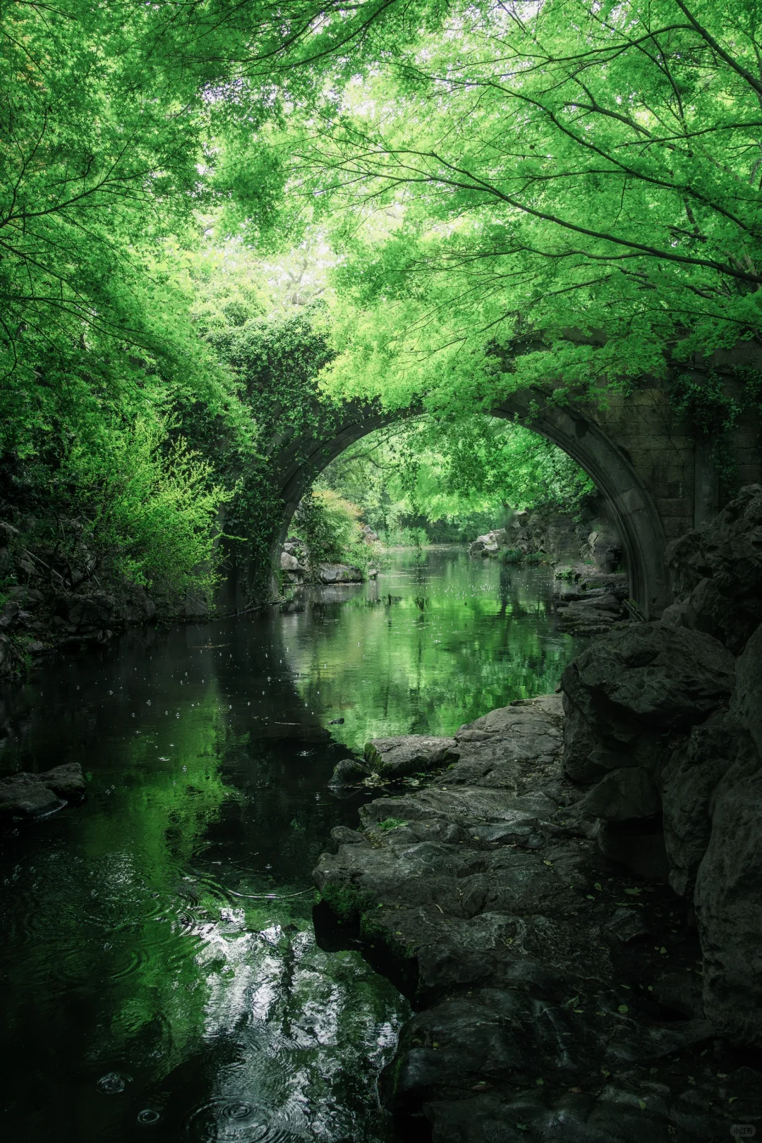 杭州🍃建议感觉能量低的人都走一下这条路线