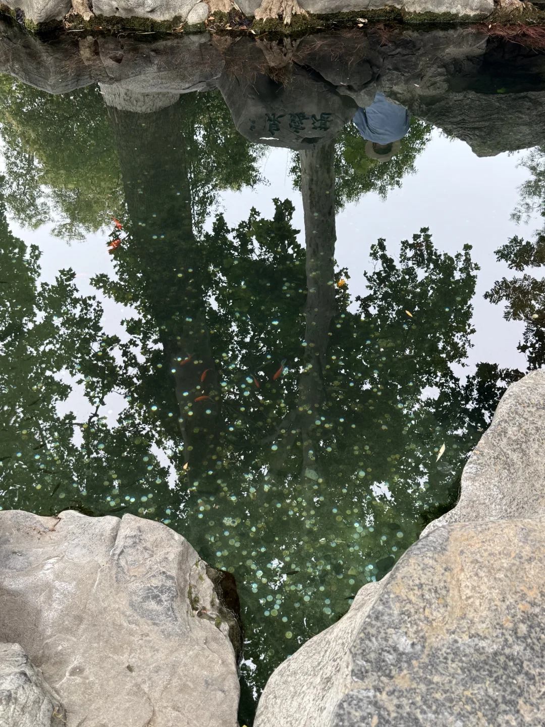 济南的夏天