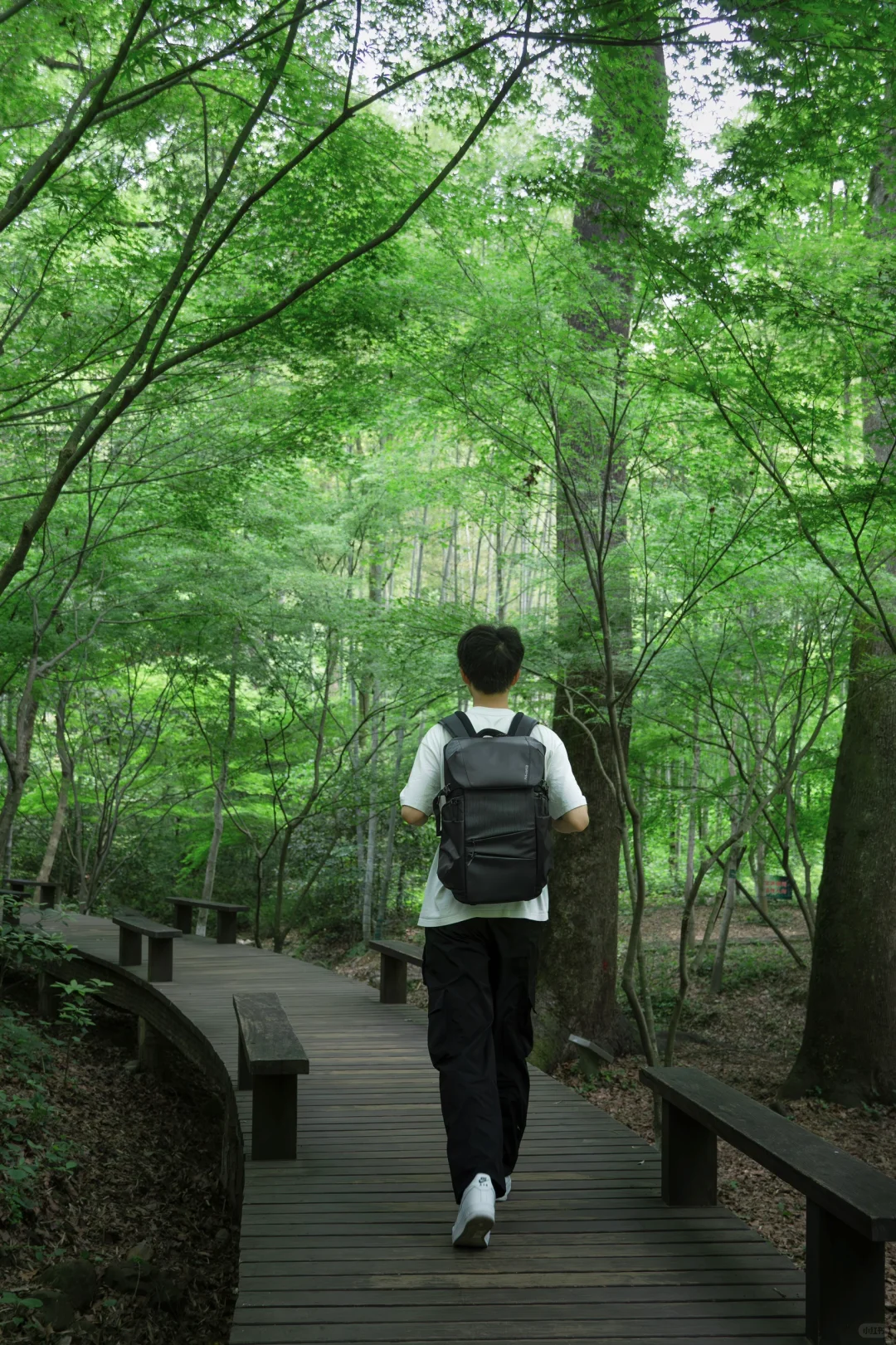 杭州🍃建议感觉能量低的人都走一下这条路线