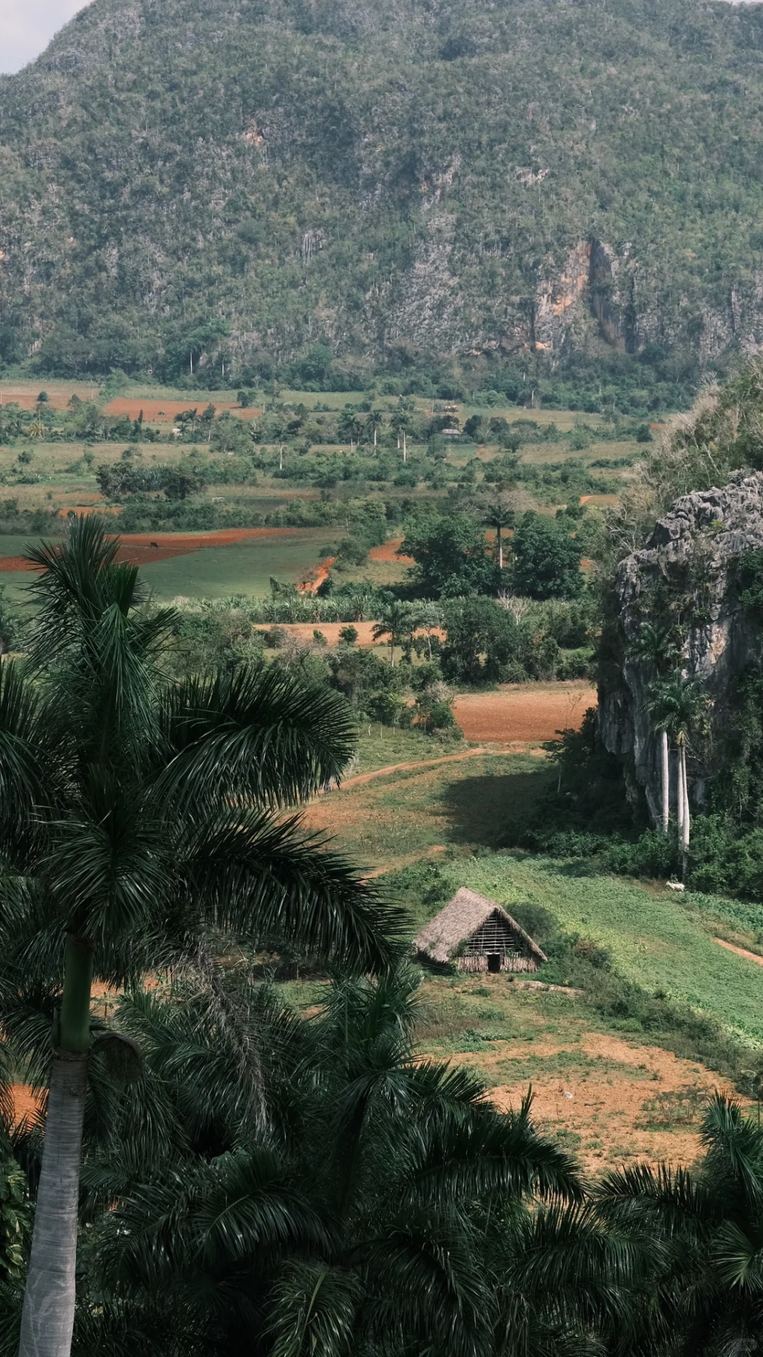 🇨🇺古巴攻略2·Viñales 山野小镇吃喝玩乐