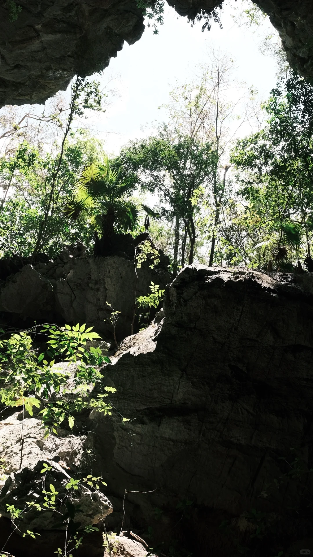 🇨🇺古巴攻略2·Viñales 山野小镇吃喝玩乐