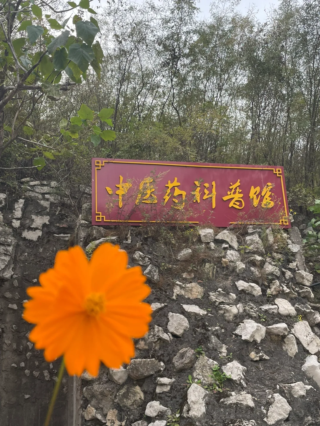 邯郸周末惠民旅游—药王谷