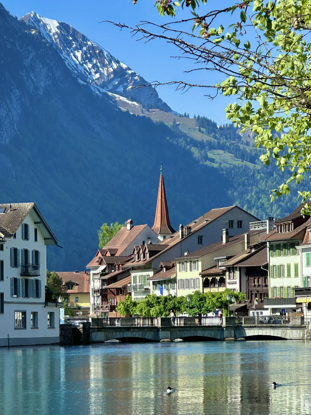 🇨🇭 Interlaken|因特拉肯⋆。‧˚ 🩵ིྀ ˚‧。⋆