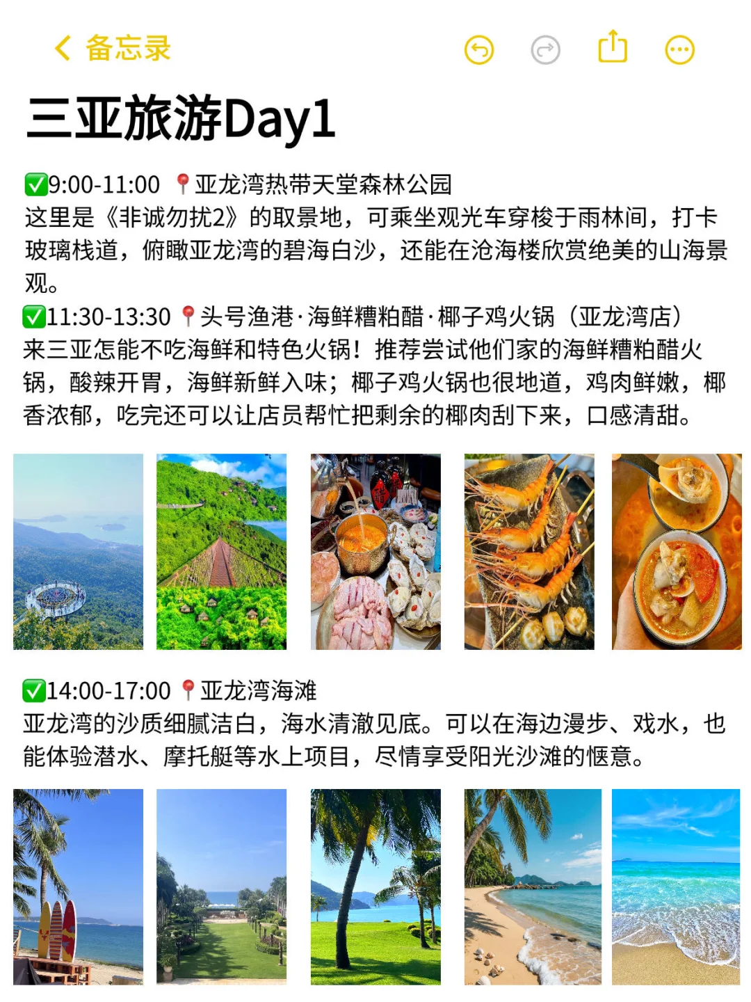 三亚旅游已回！J人对自己做的攻略满意到不行