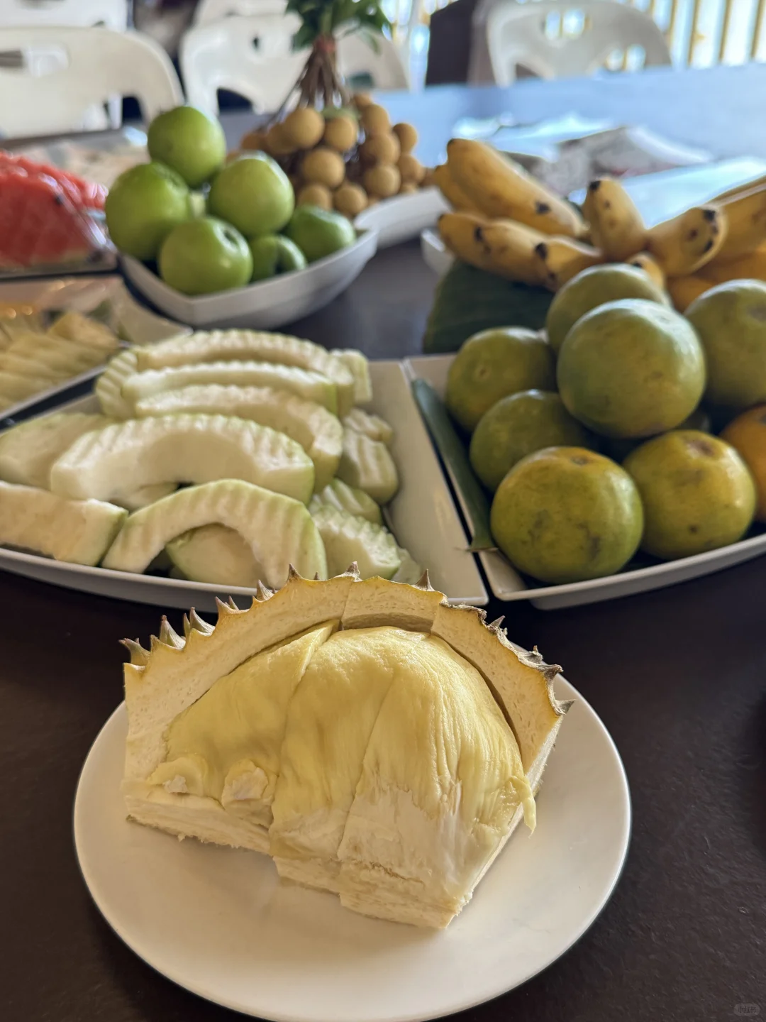 哎为啥我觉得泰国一点也不好玩。。。。