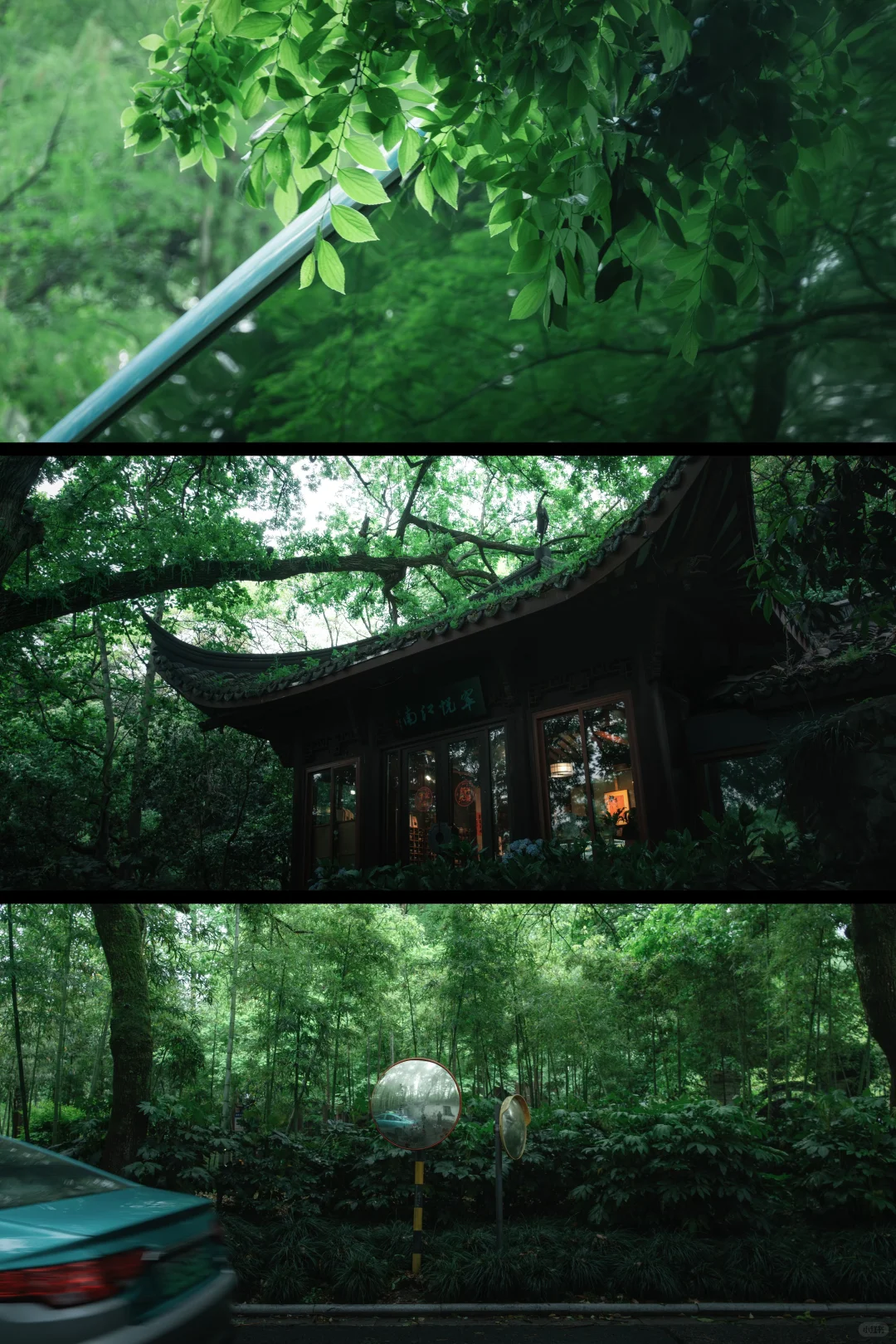 杭州🍃建议感觉能量低的人都走一下这条路线