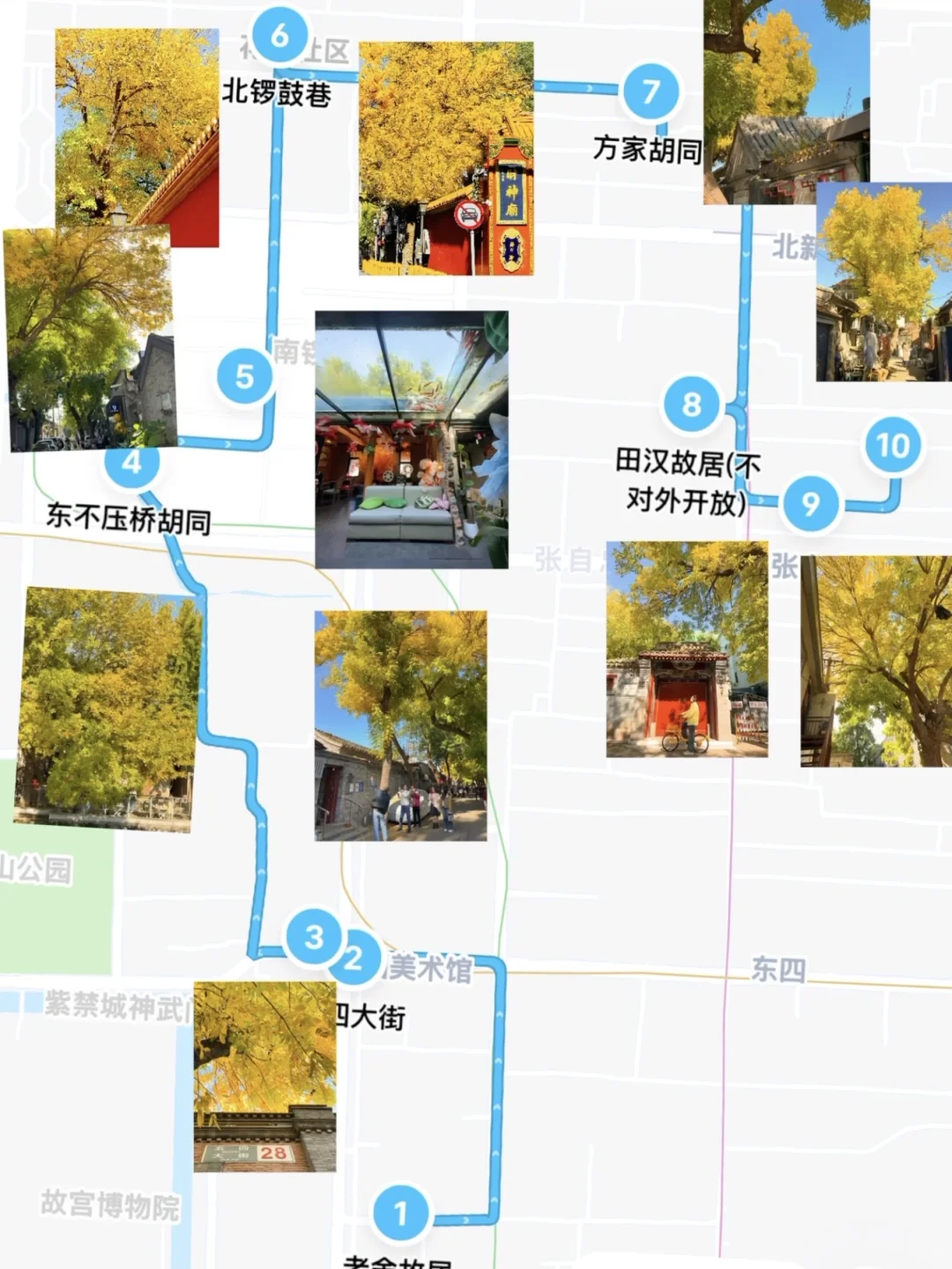 10.22实况播报❗️本周北京赏秋路线就这么走