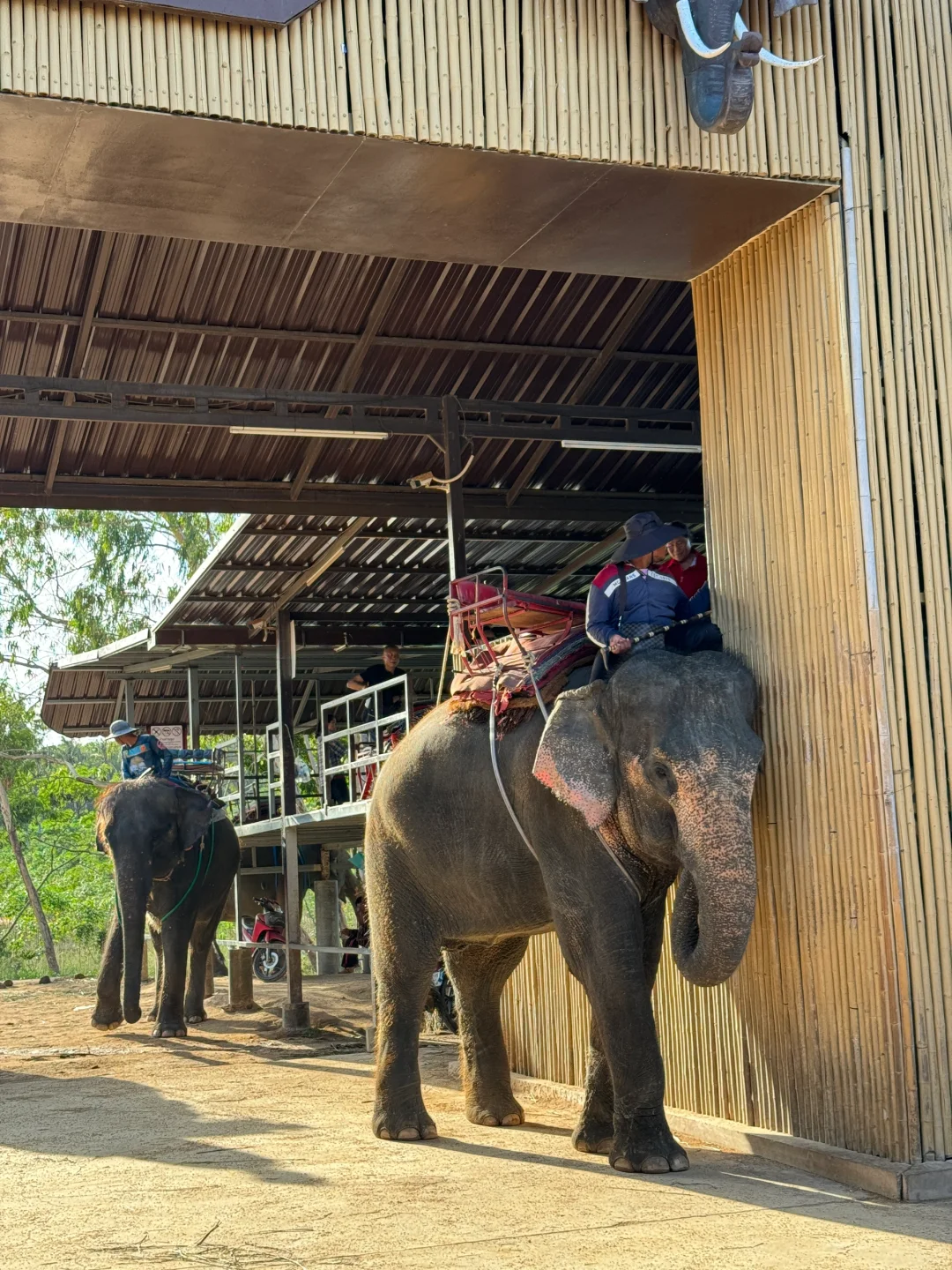 哎为啥我觉得泰国一点也不好玩。。。。