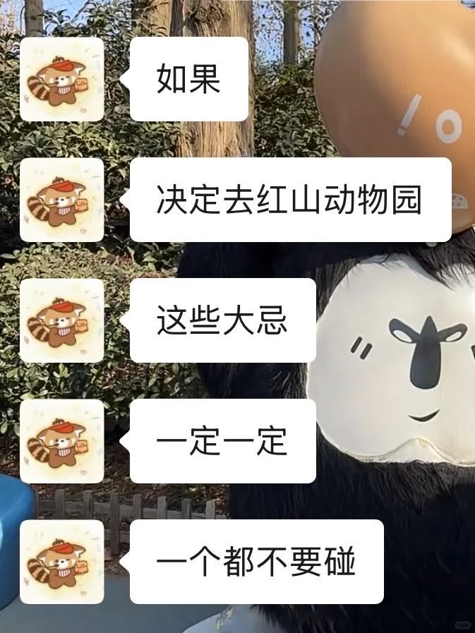 红山动物园大更新!再不看就晚咯