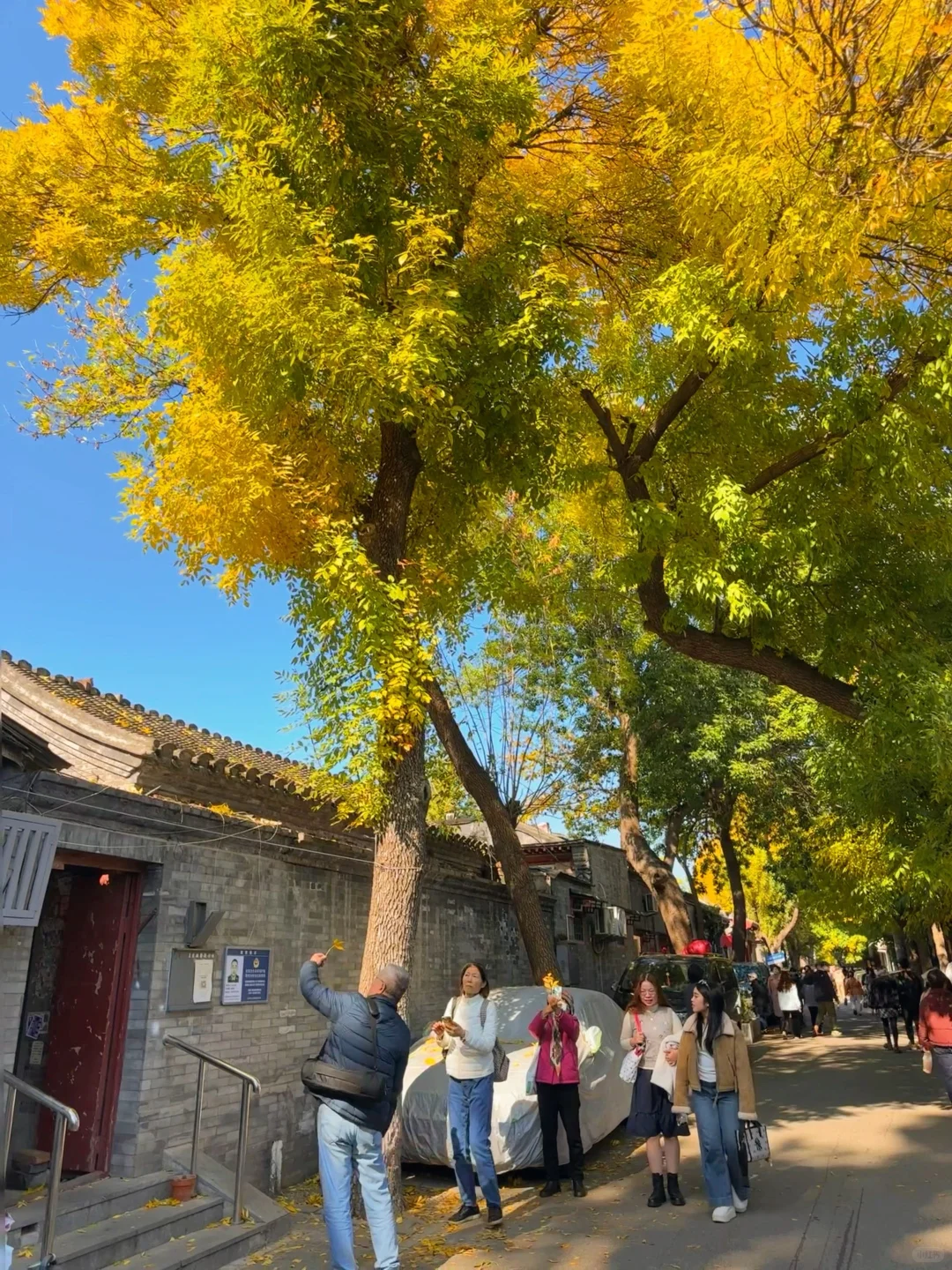 10.22实况播报❗️本周北京赏秋路线就这么走