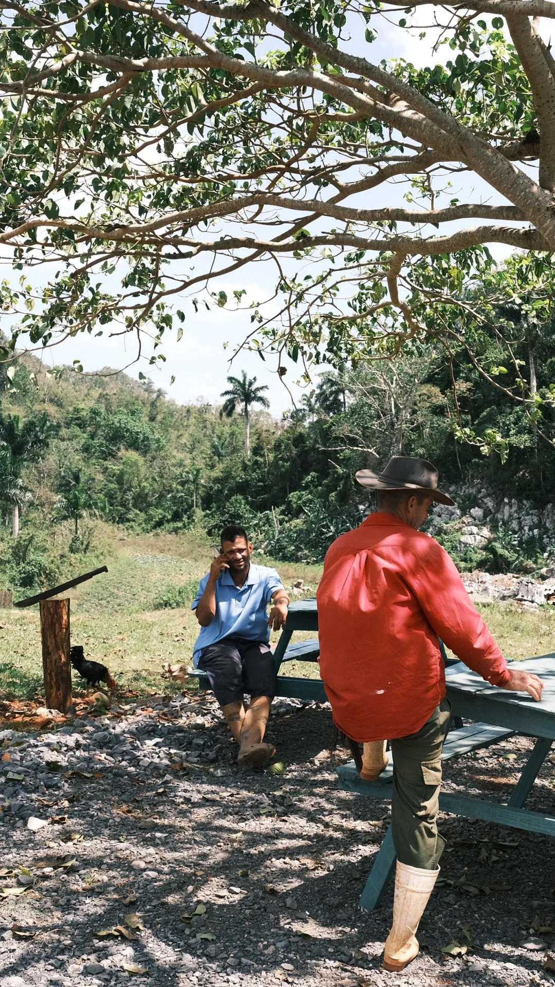 🇨🇺古巴攻略2·Viñales 山野小镇吃喝玩乐