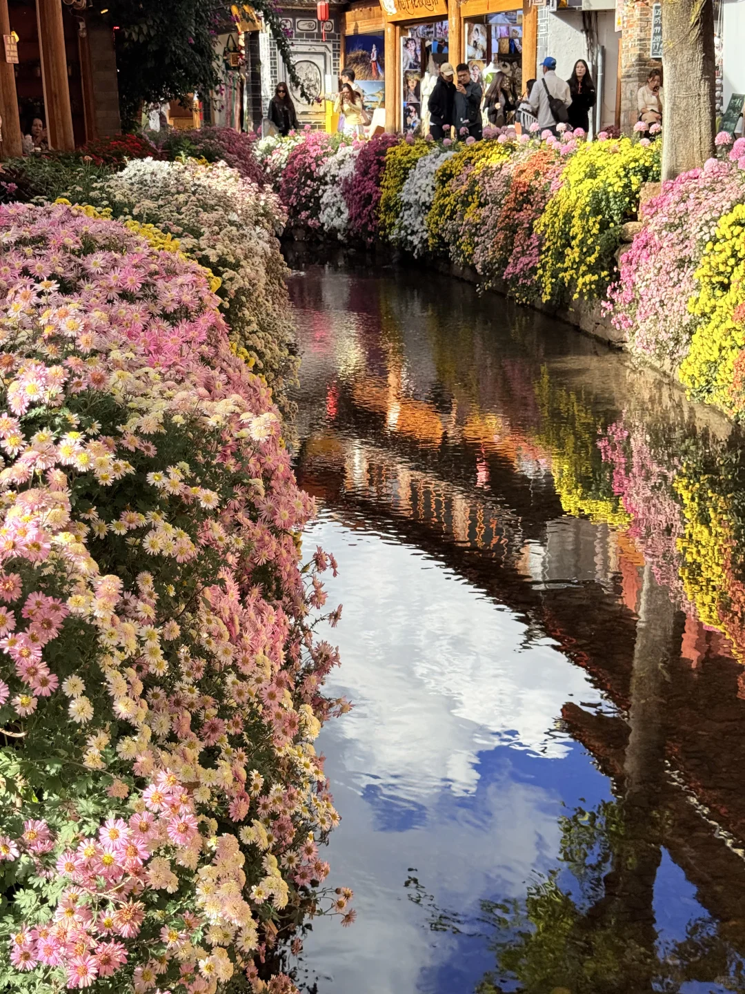 丽江 | 10月古城美的像幅画一样✨