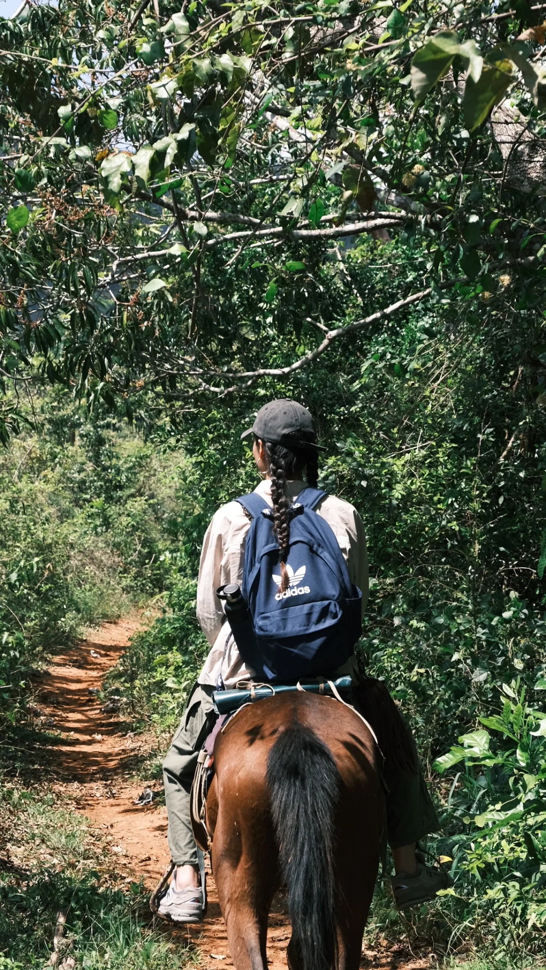 🇨🇺古巴攻略2·Viñales 山野小镇吃喝玩乐